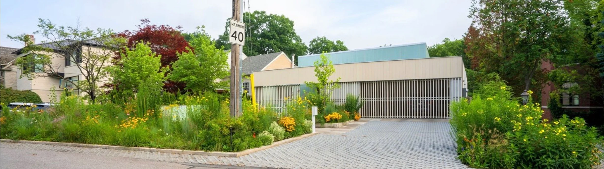 Native planting integrated with a modern residential landscape in Toronto