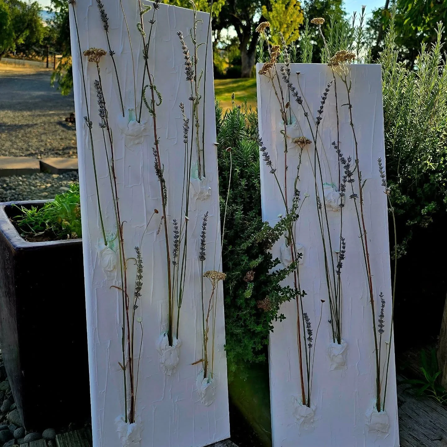 ✨ Customer order complete ✨
These two new vertical panels, featuring lavender and wild yarrow on textured white, were just picked up by a wonderful couple. It makes me so happy to see my art finding homes where they’ll be loved 🌿💛
#botanical