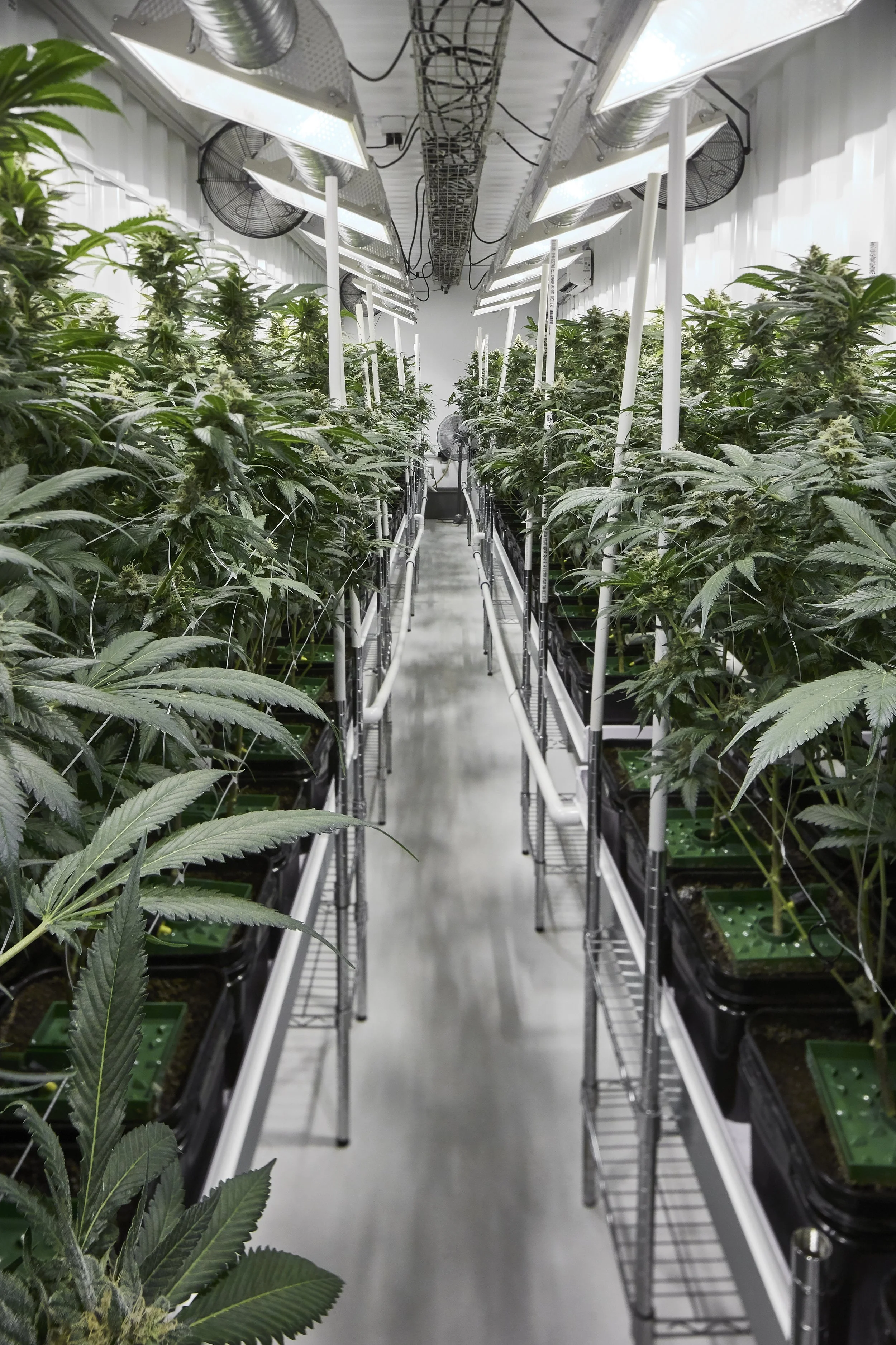 How Grow PODs Are Transforming Cannabis Financing
