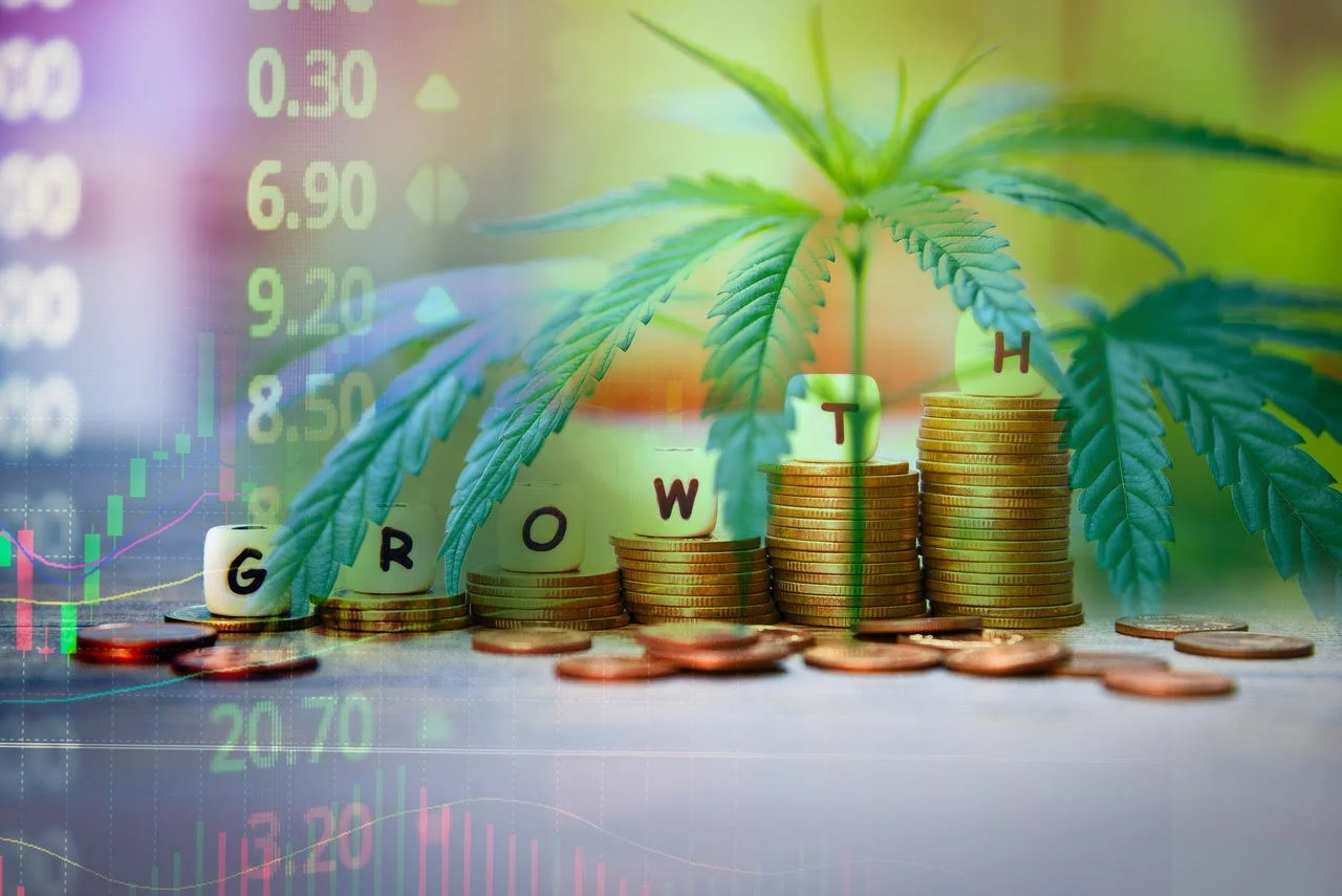 The Cultivation Industry’s Obsession with Scale Is a Leftover VC Hangover