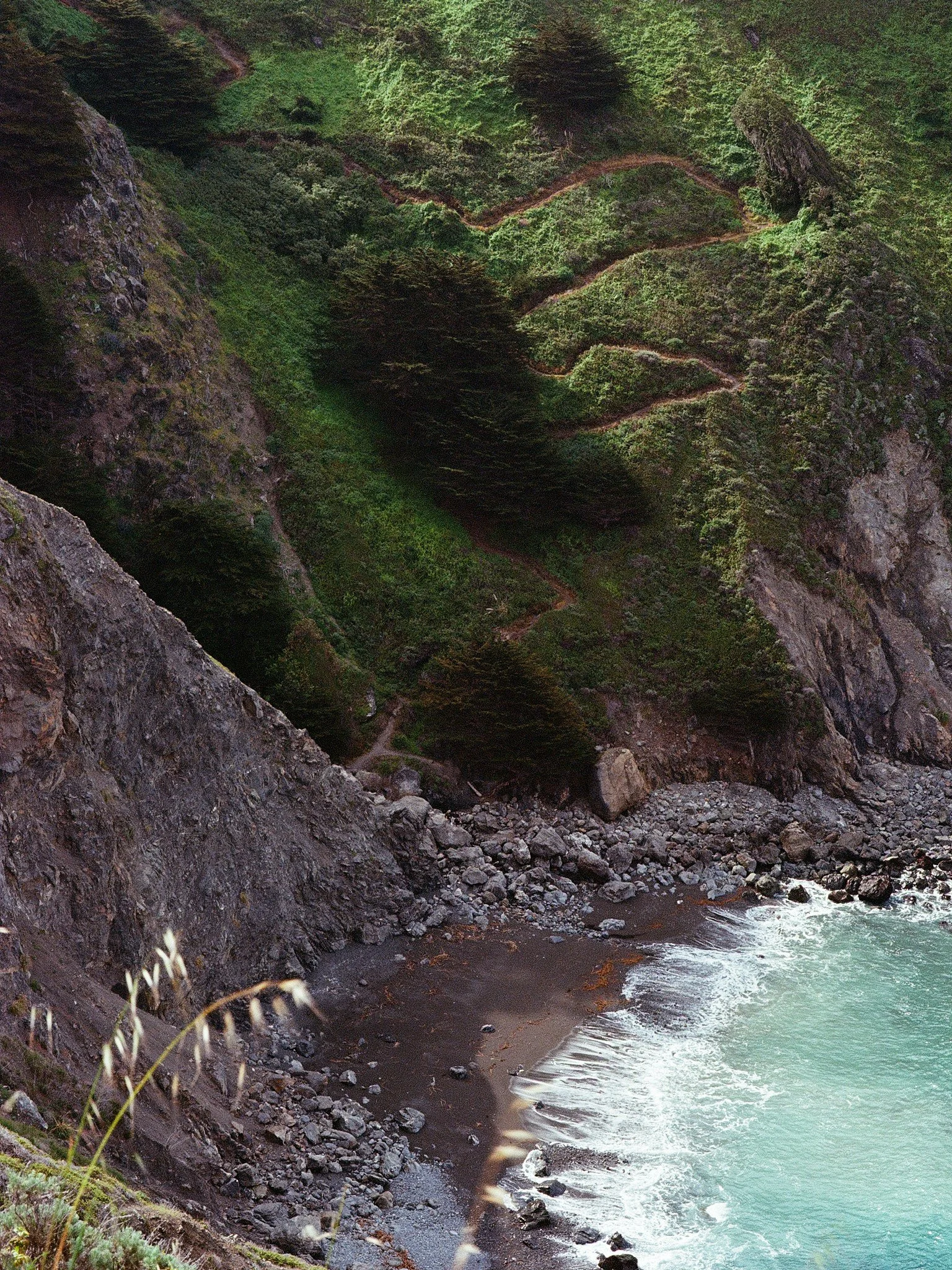 Roll_0007_000082600010