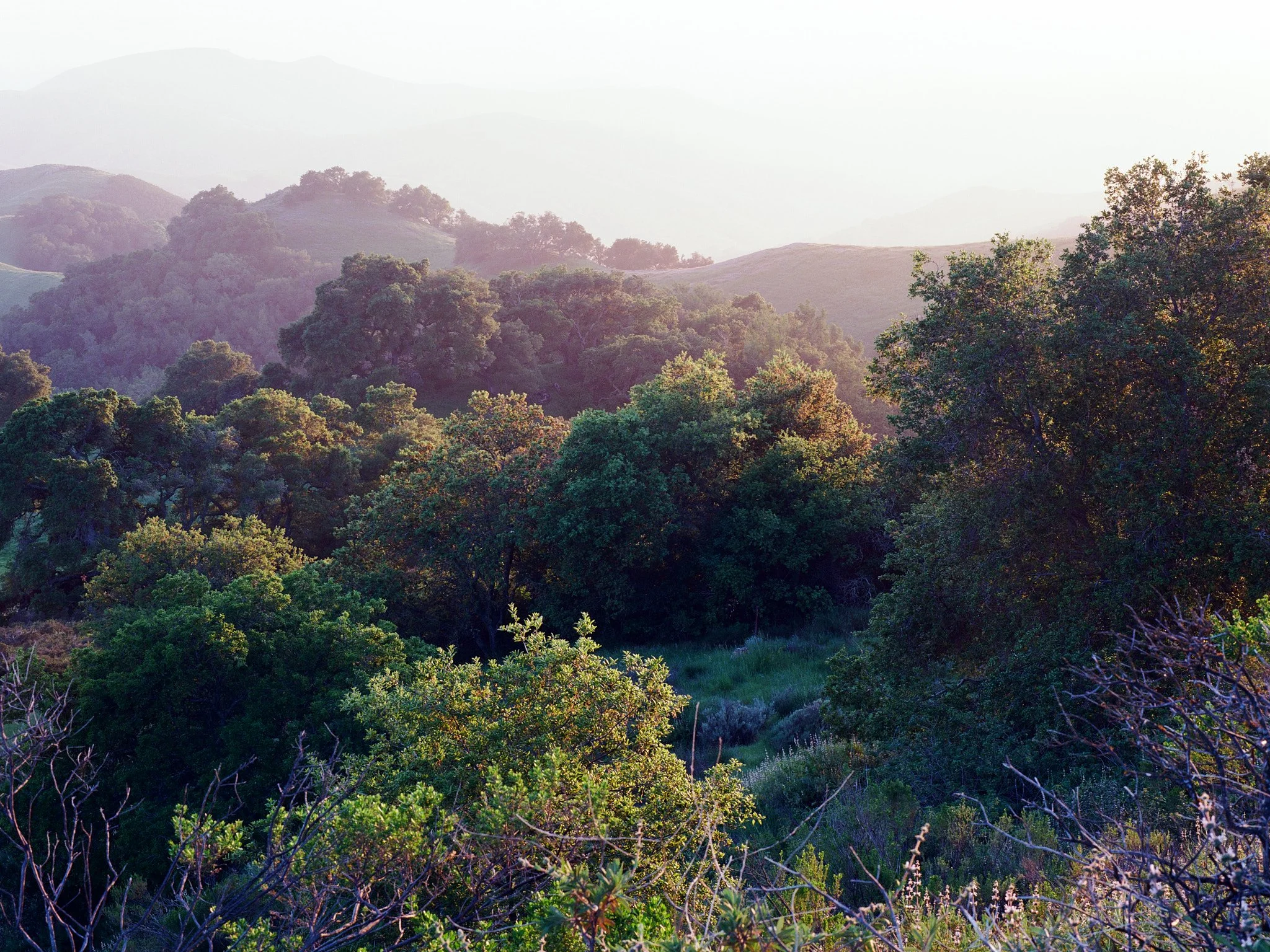 Roll_0005_000063380001