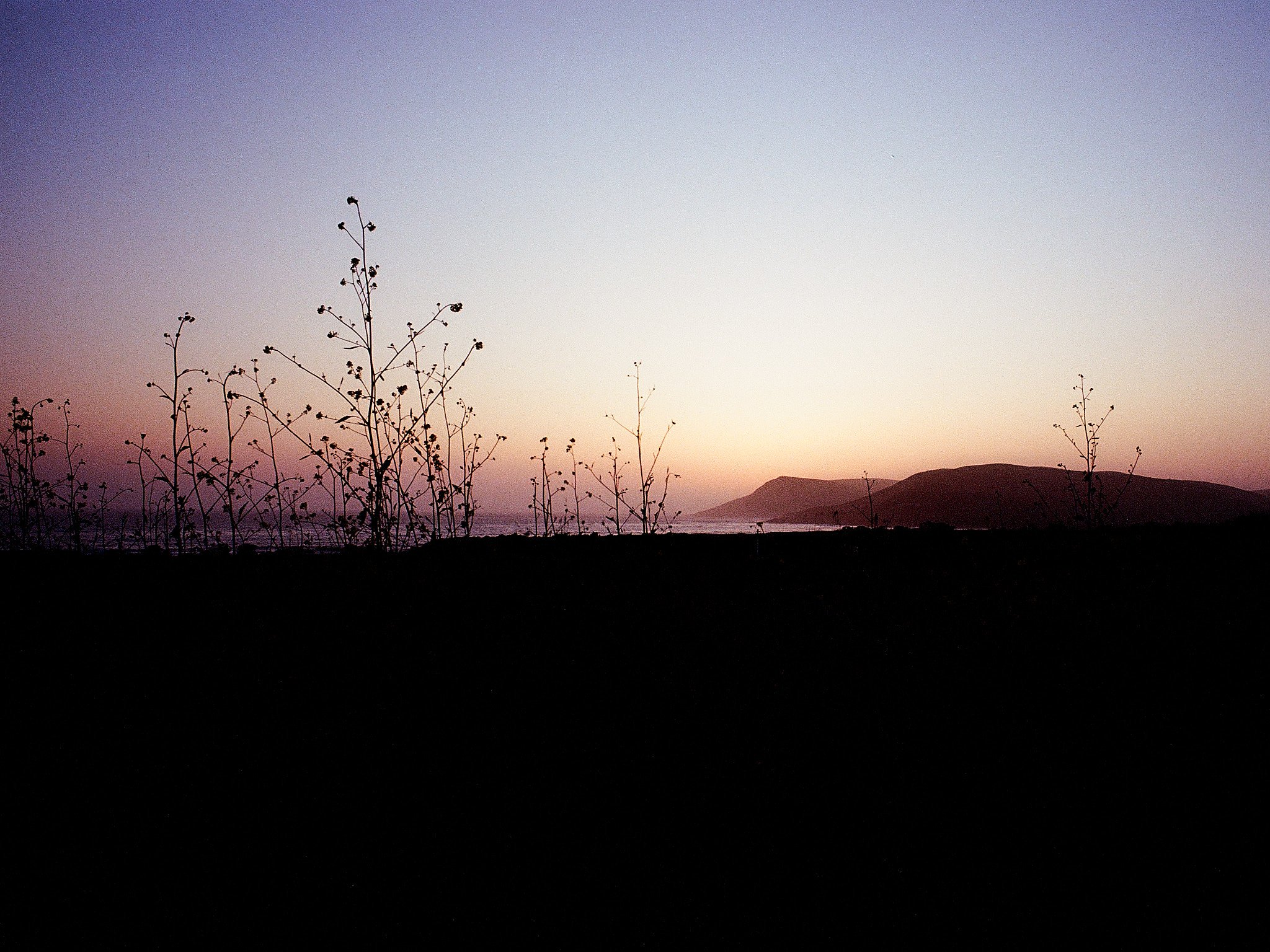 Roll_0001_000082580013