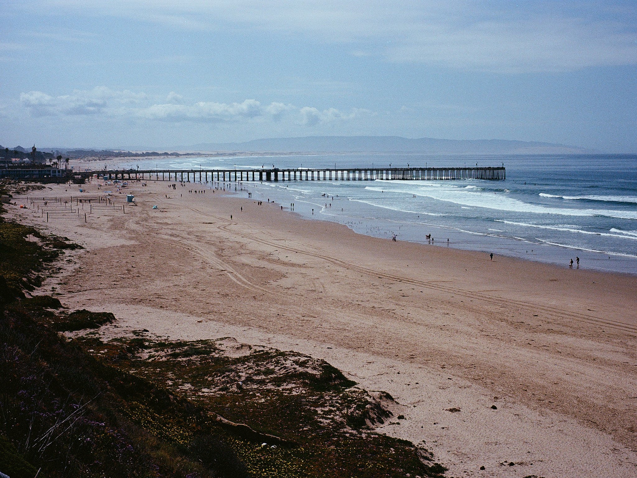 Roll_0010_000082610004