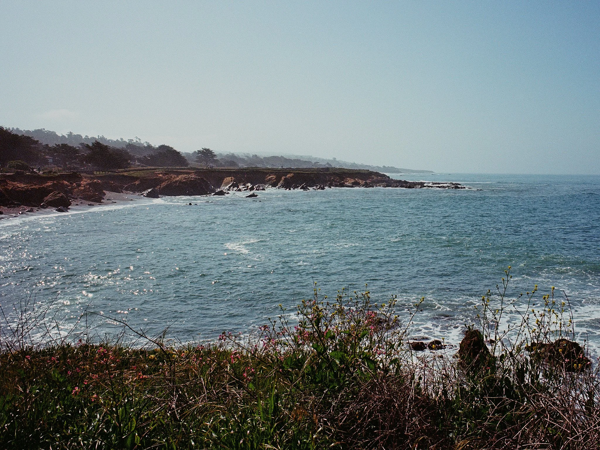 Roll_0001_000082580002