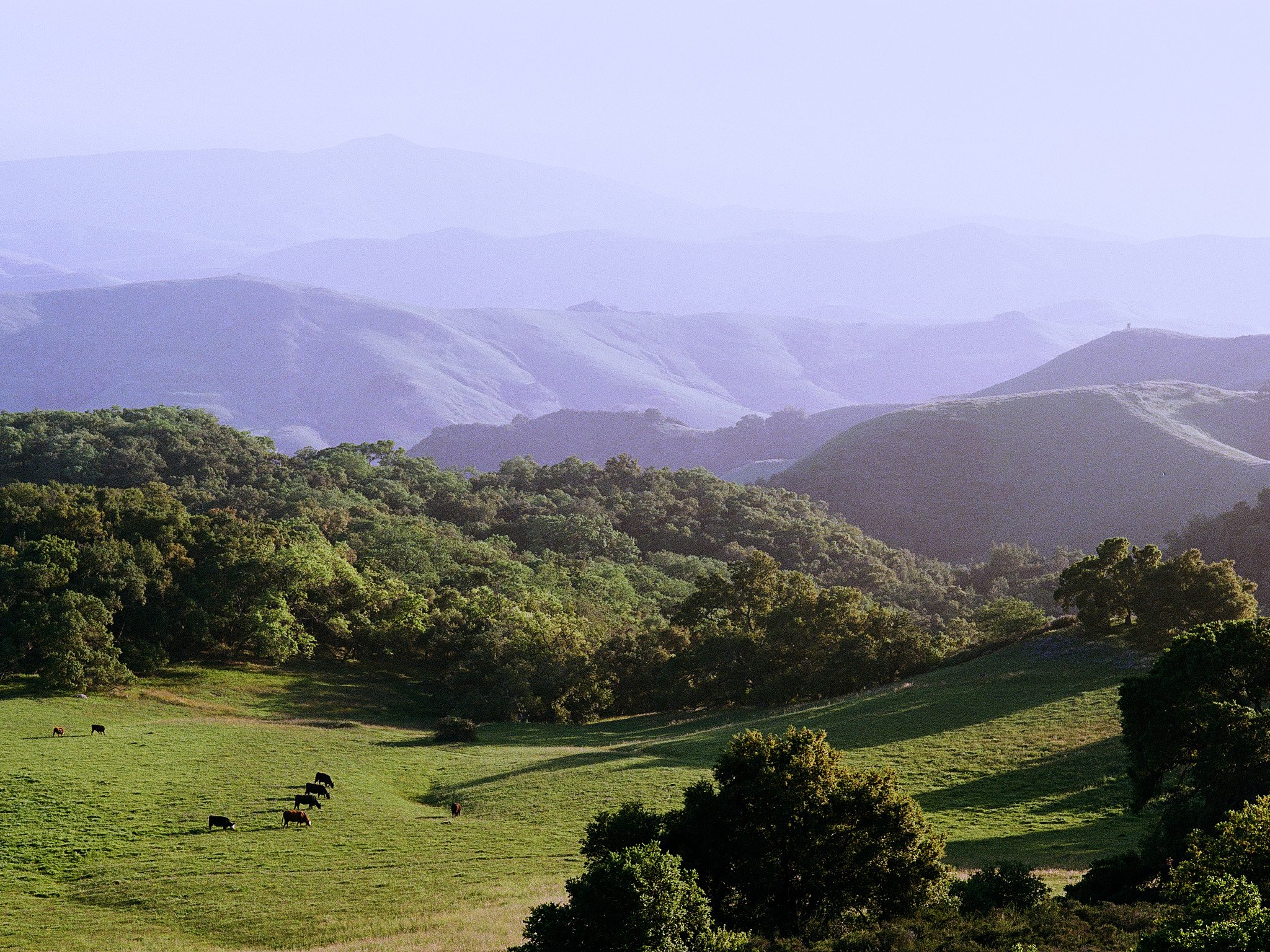 Roll_0002_000082590006