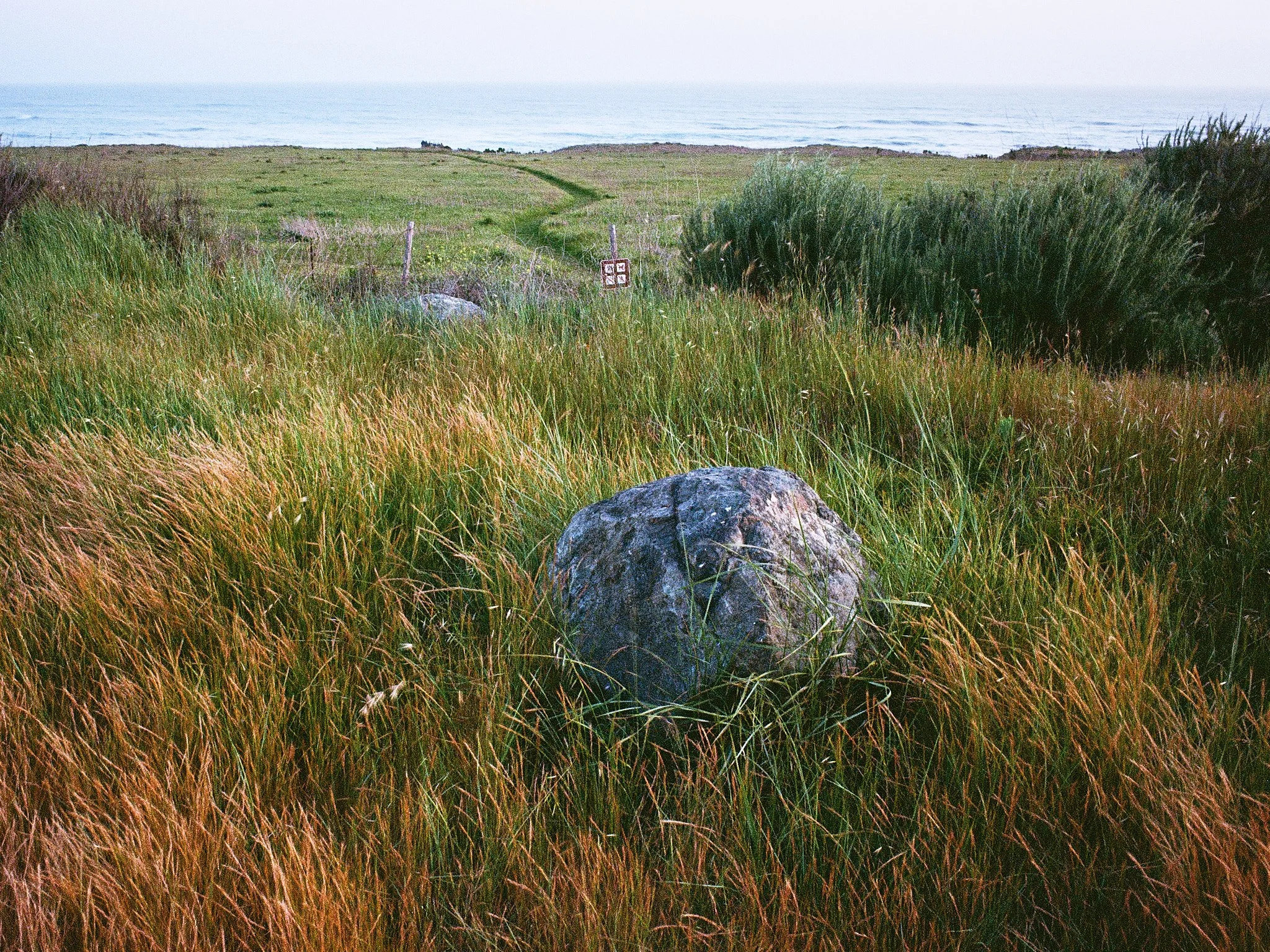 Roll_0001_000082580007