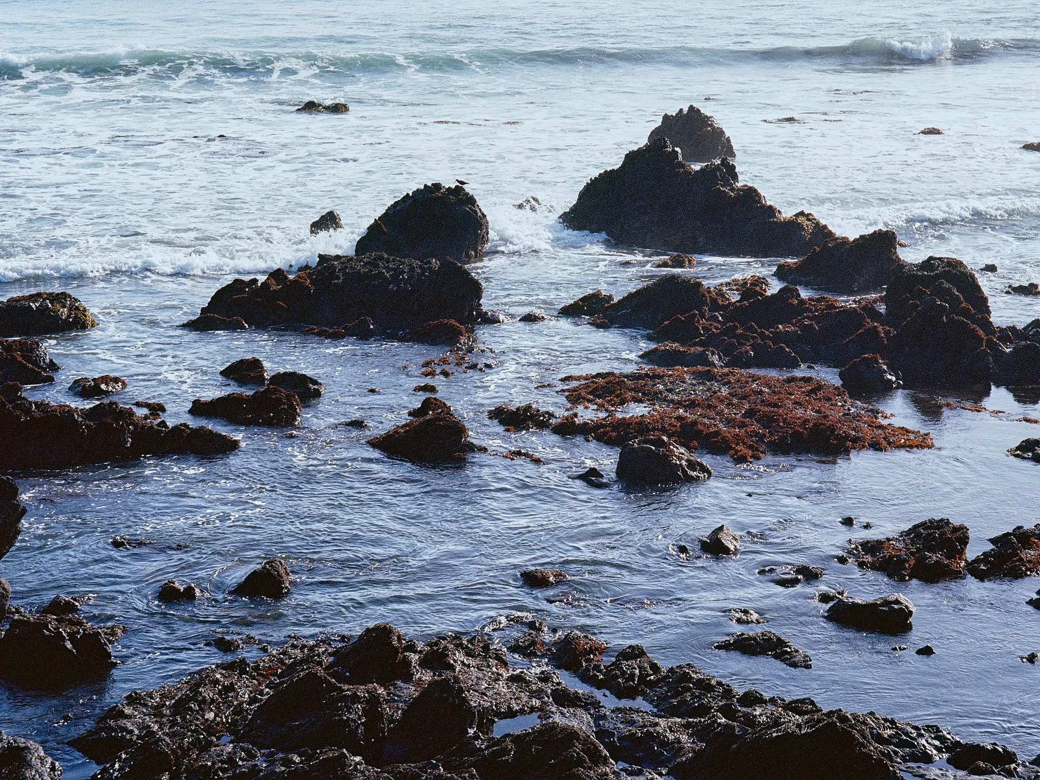 Roll_0002_000082590012