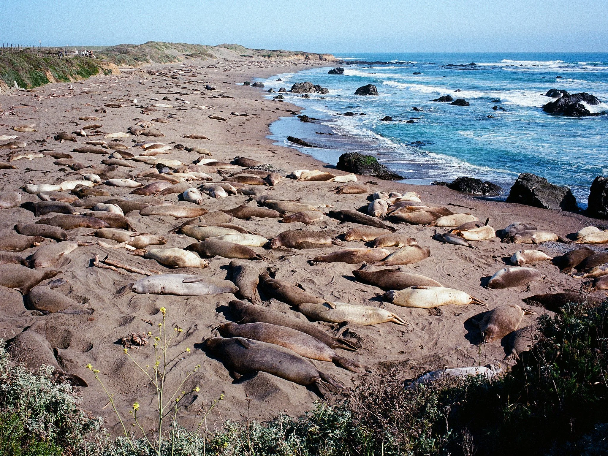 Roll_0002_000082590024