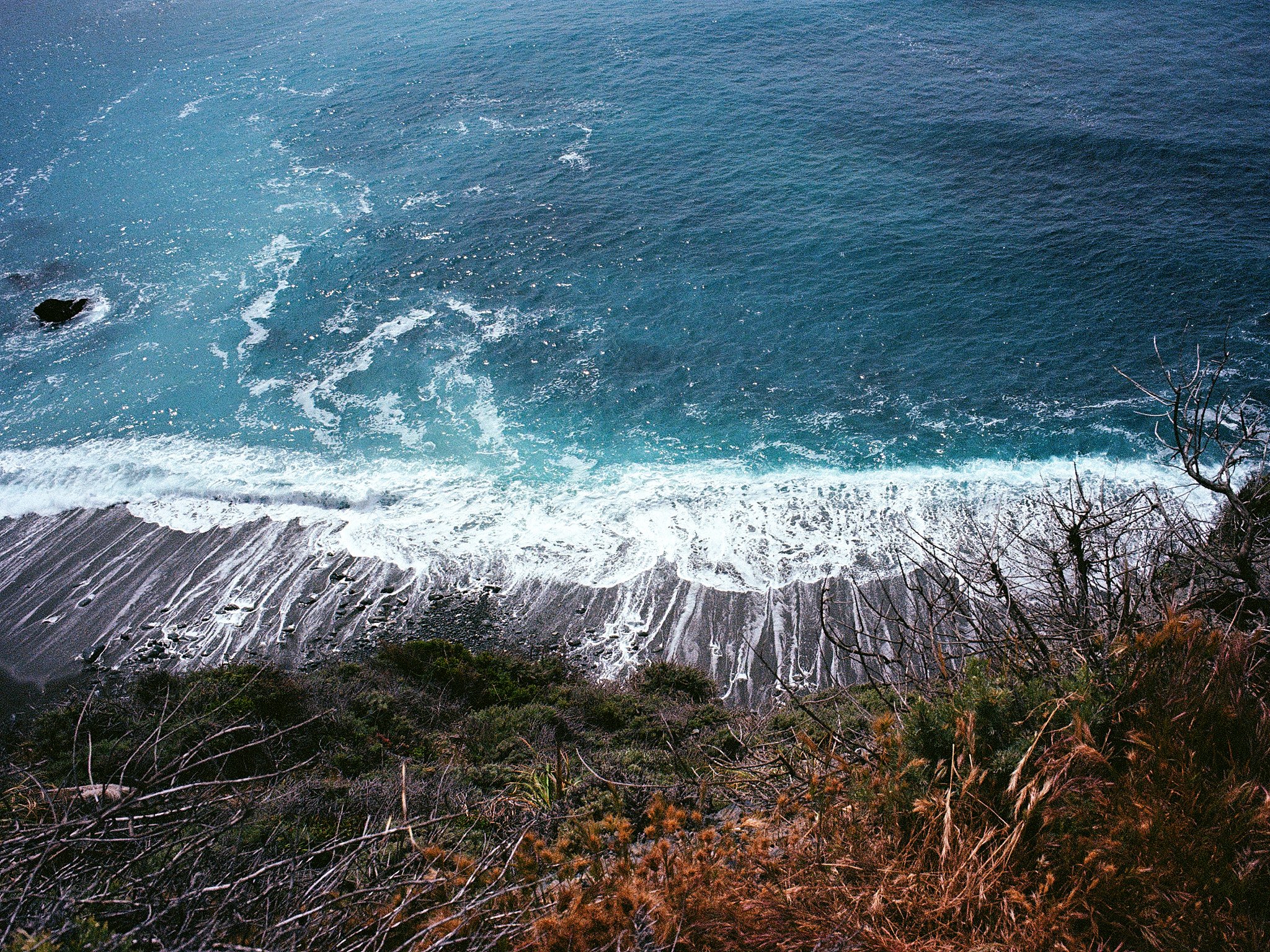 Roll_0010_000082610007