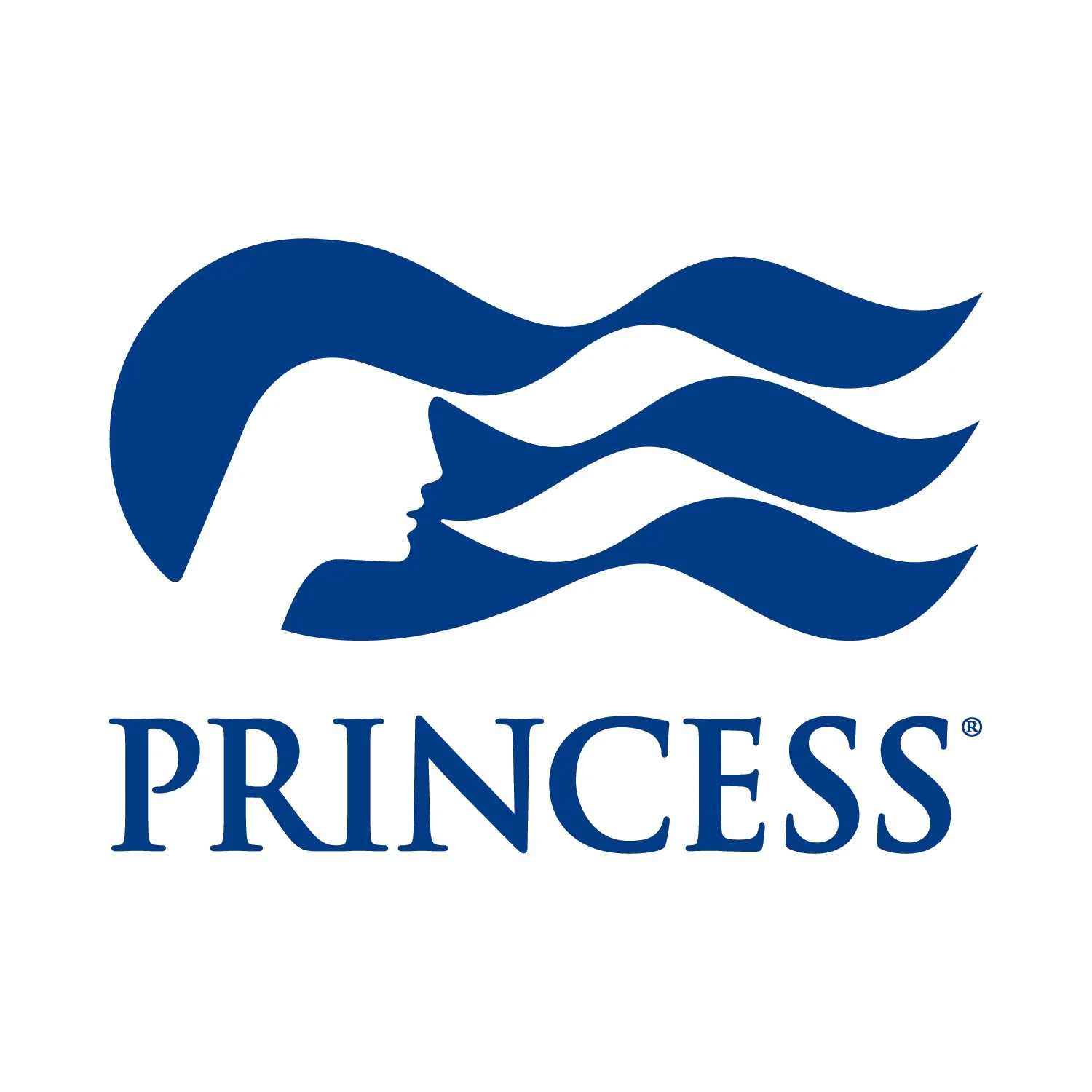 A stylized logo featuring a silhouette of a woman's profile with flowing hair and the word 'PRINCESS' beneath it.
