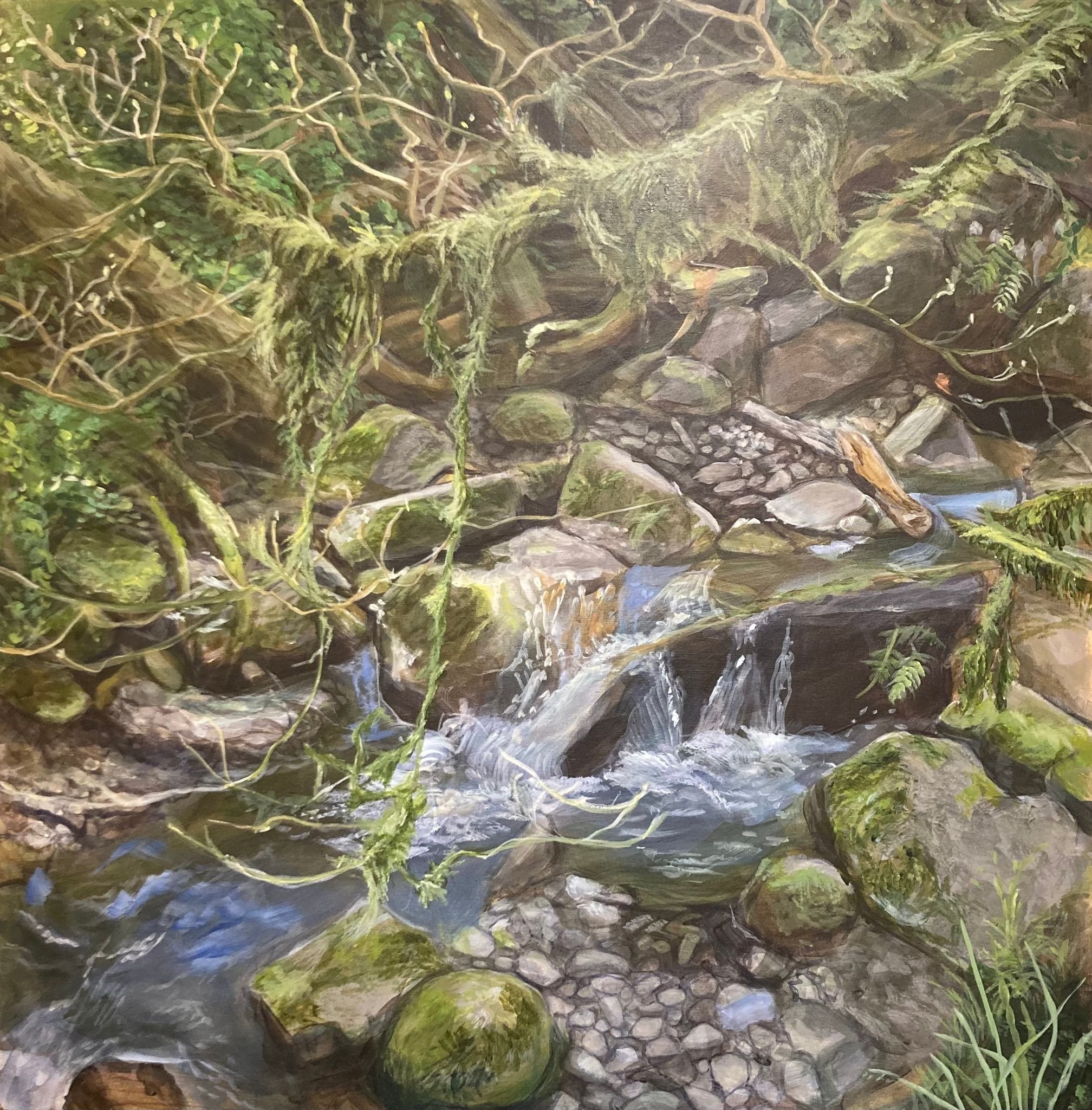 Paintint title: Spring celebration, chandelier blossoms higher up on kulla kulla Creek