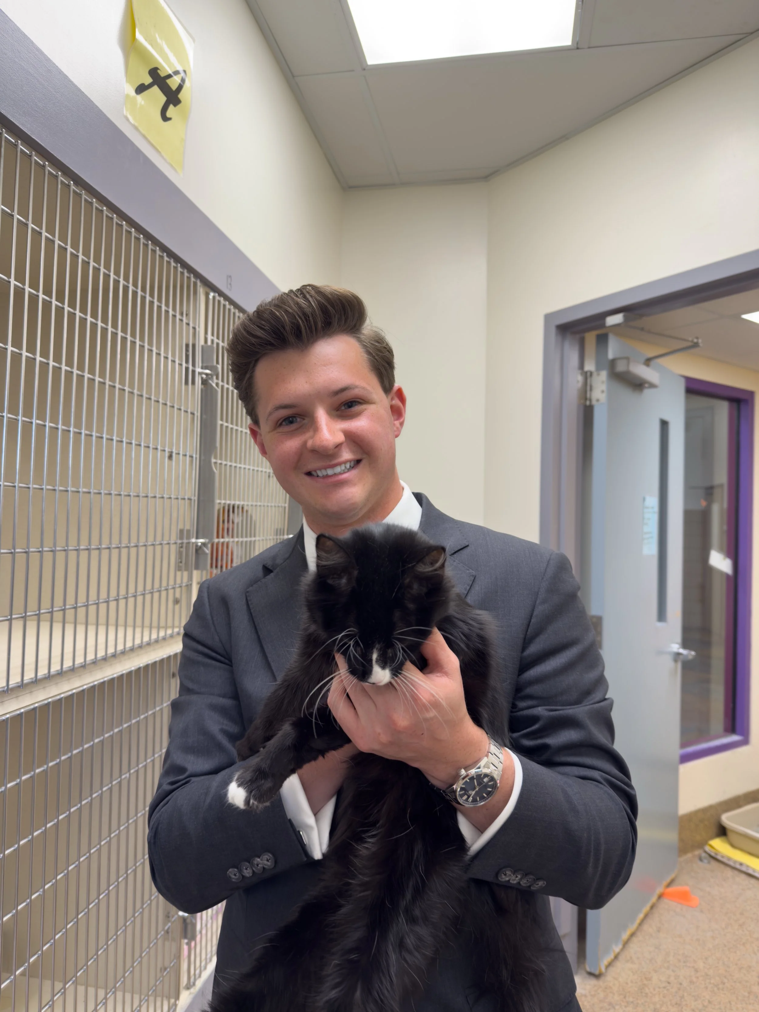 Man in a suit holding a black and white cat inside an animal shelter.