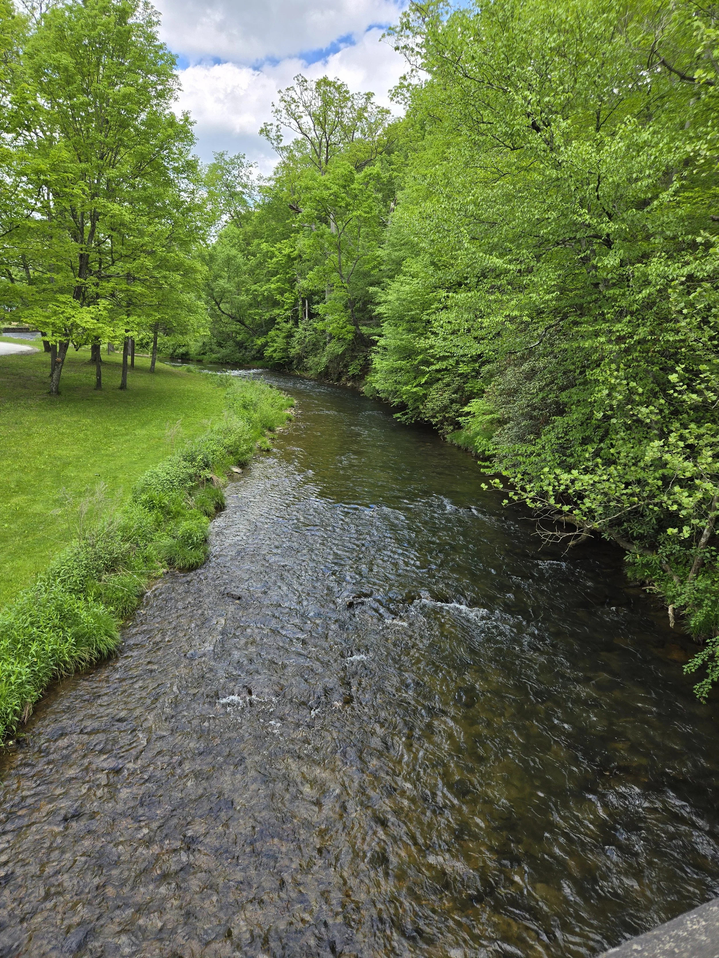A peaceful river flows through a lush green landscape with trees on both sides and a grassy area on the left, under a partly cloudy sky.