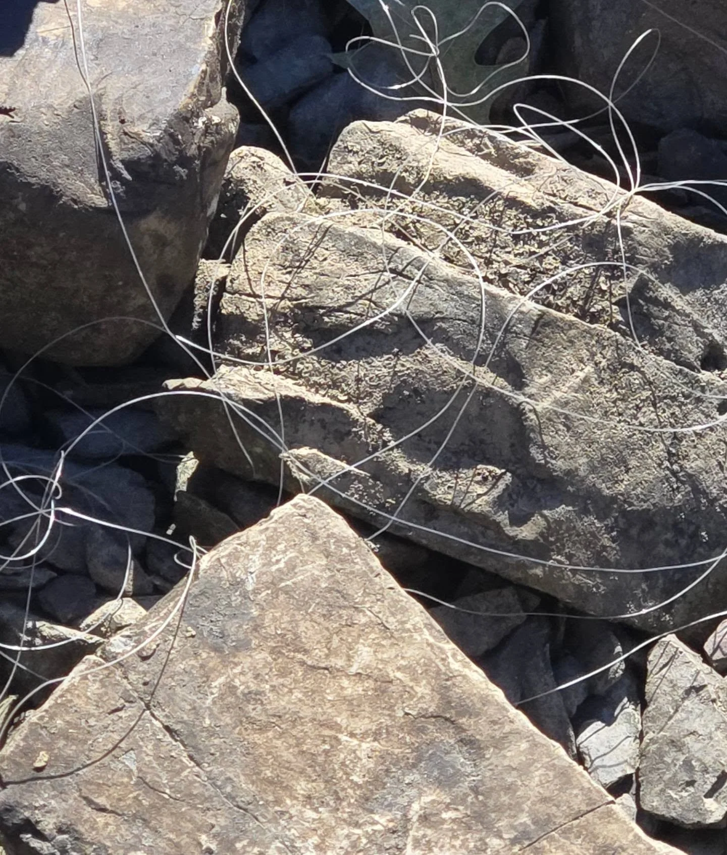 Another great find from my day at the river.. im not saying stuff doesn't happen. But what requires an immediate re line of your reell on the river bank and just leaving it. Day's like today are why I carry a trash bag with me.

#rivercleanup #wtf #o