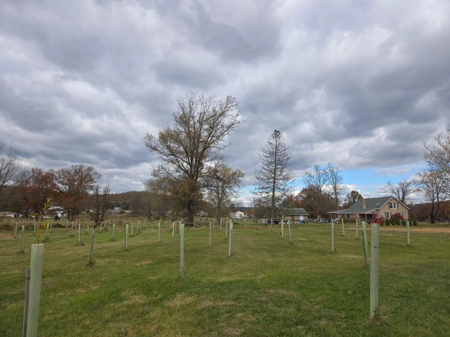 Spent the morning with @haycreekwatershed
Replacing dead trees as part of their creek erosion efforts and restoration. 

We were greeted first thing this morning by a mature bald eagle. 

It was a great day today get outside and give back.