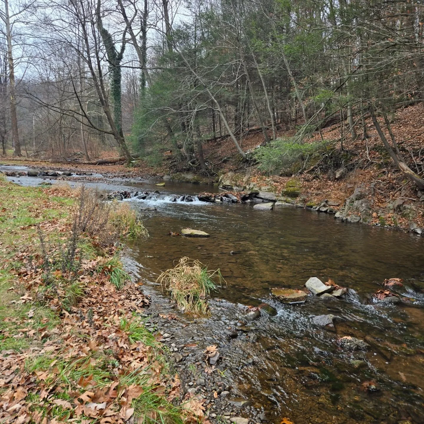 Cold and beautiful! Nothing better than this view.
#stressreliever #veteransmallbusinessowner #veteranflyfishing #mentalhealthmatters #mentalhealthawarenes #decompress #unplugged