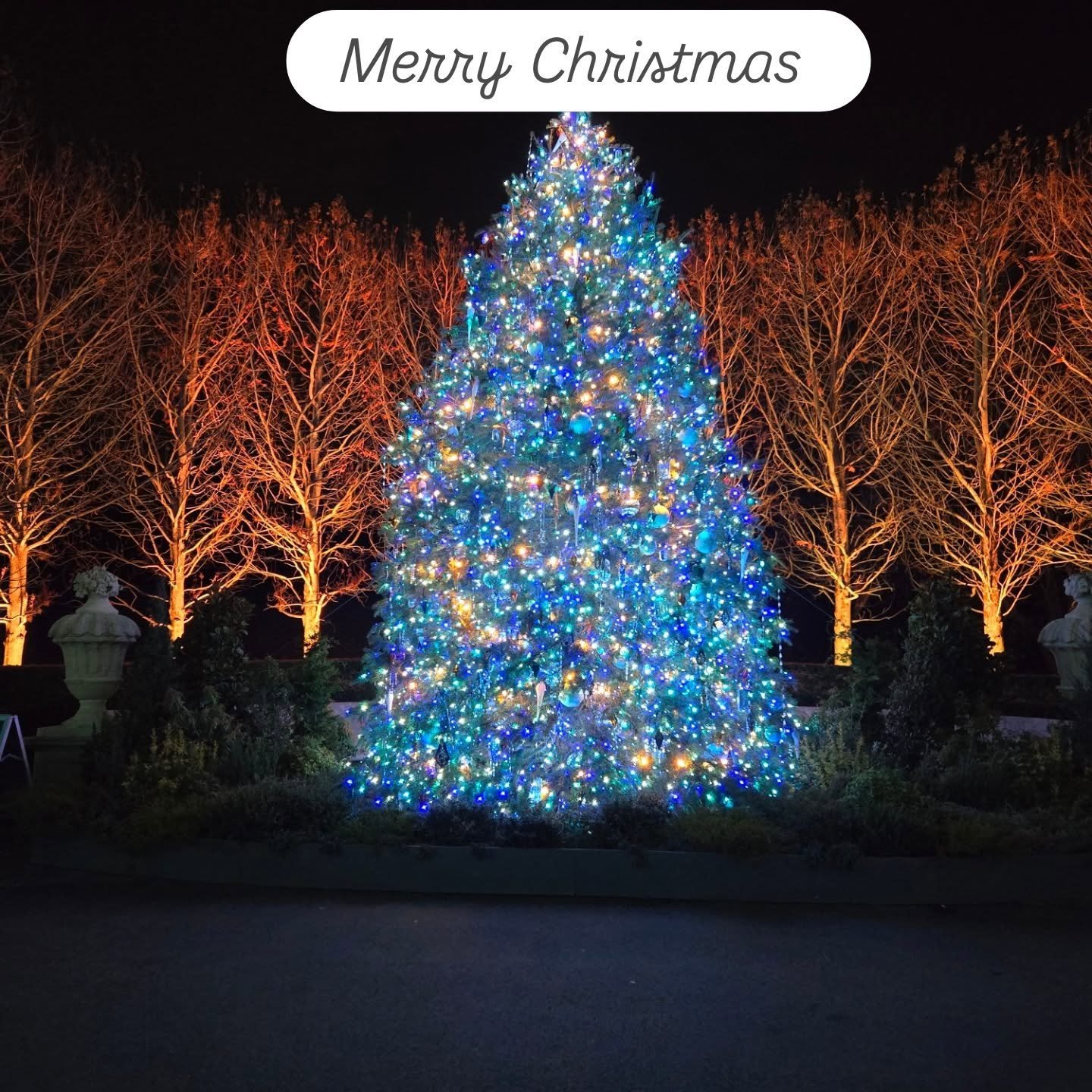 From my family to your family wishing everyone a safe and Merry Christmas. 

#Merry Christmas 
#Longwood Gardens 
#Happy Holidays
@longwoodgardens
@ksoutfitter