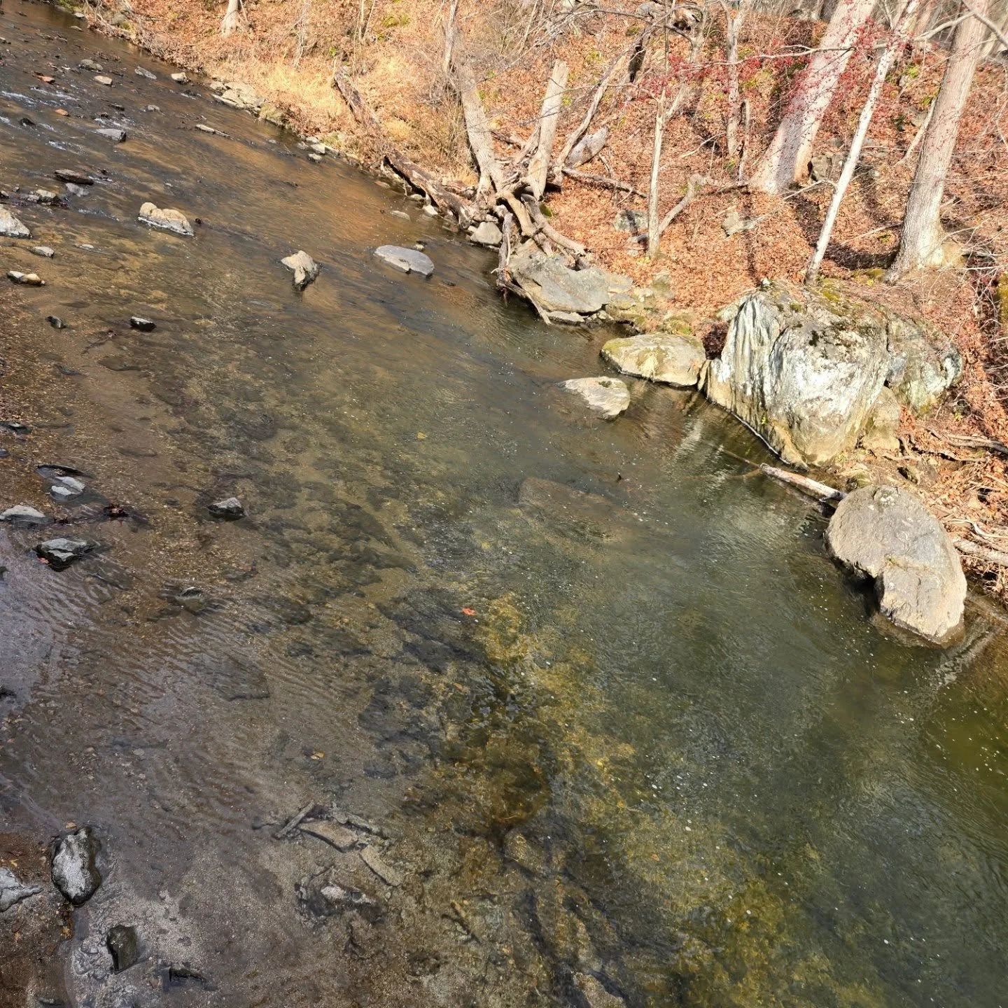 Went out walking with the family today. The water was very clear. Not a single fish, small, medium or other sizes. Its very disappointing. But it was a great day to get out. 

#familyfirst #familytimeisthebesttime❤️ #familyfun 
#Merry Christmas #crys