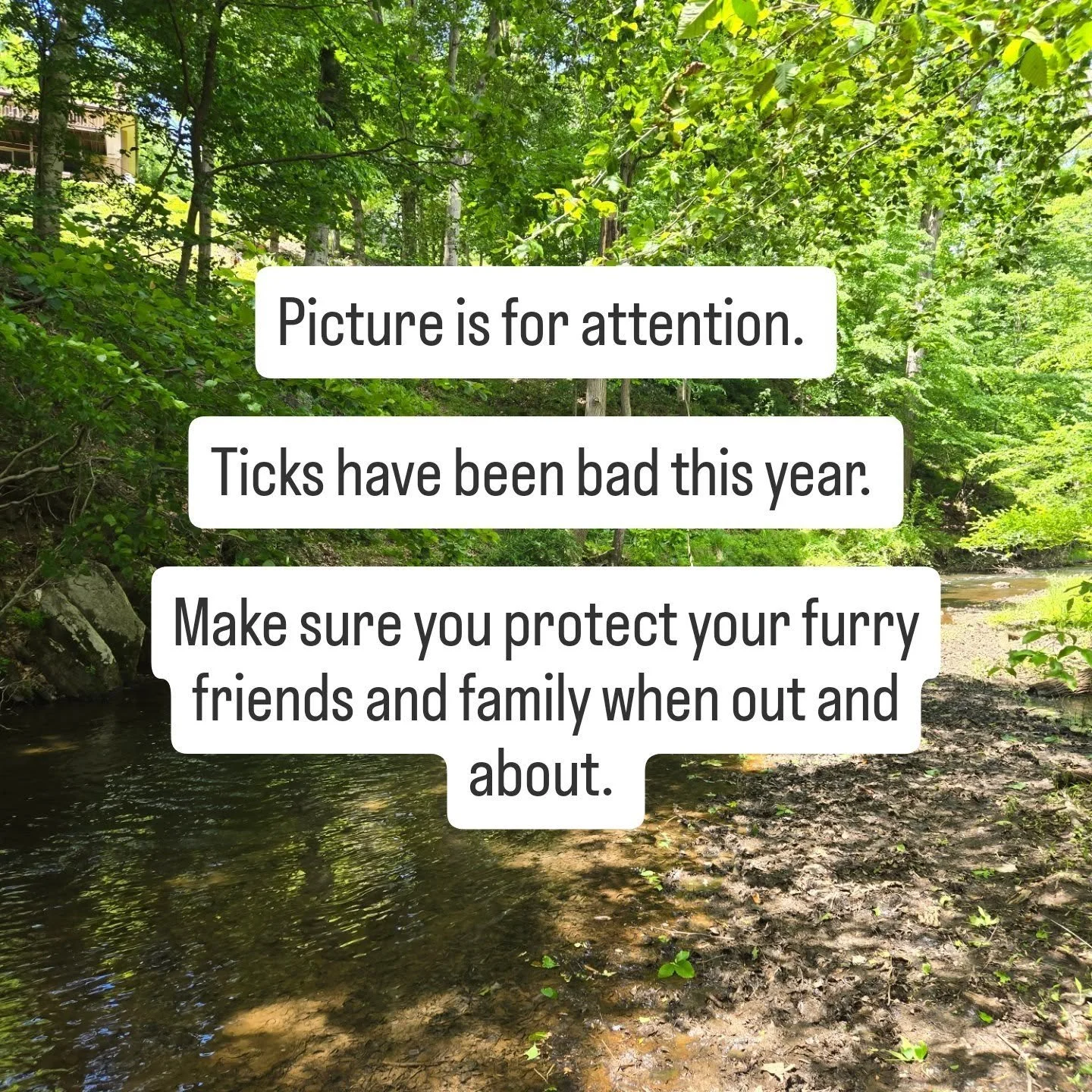 Make sure you protect your furry friends and family when enjoying nature.
Ticks have been bad this year.

#tickssuck #protectyourfurryfriends #protectyourfamily #lovenature