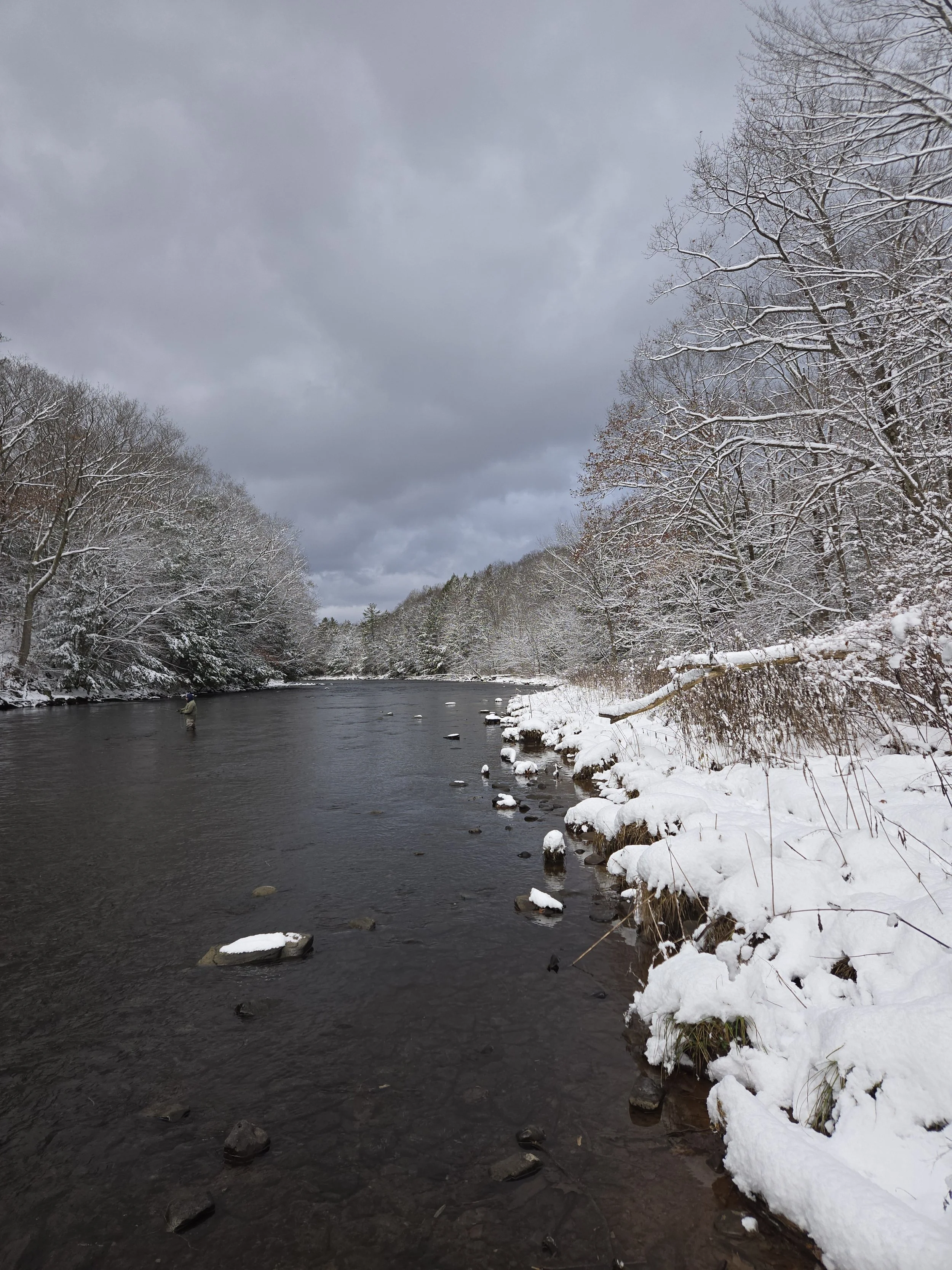 Snow-covered trees and rocks along the bank of a river on a cloudy winter day.