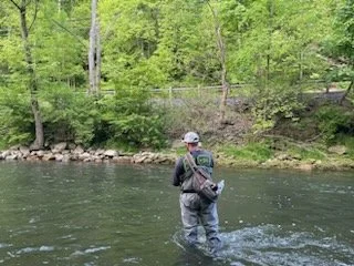 Wild trout fishing in central pennsylvania