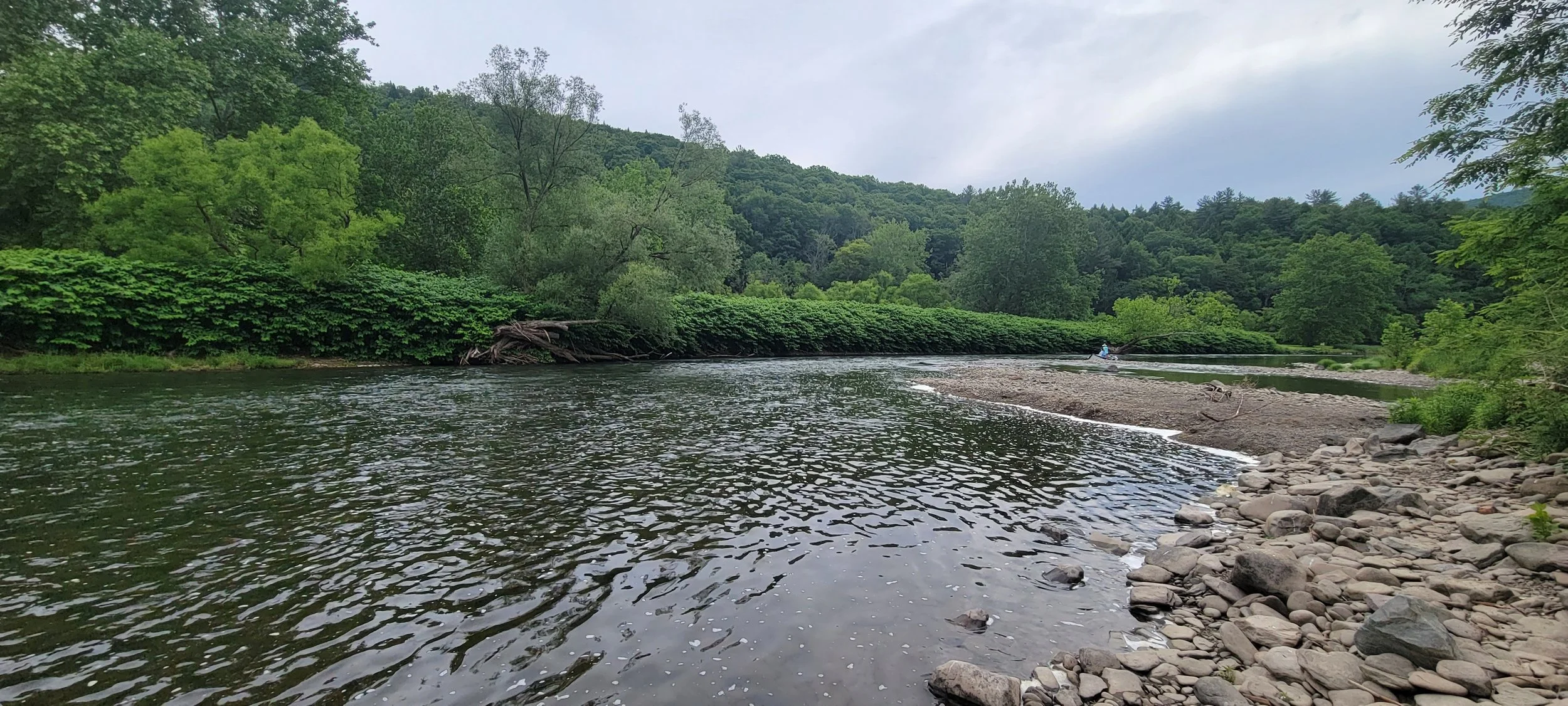 A peaceful river scene surrounded by lush green trees and hills, with a person in a small boat in the distance, and a rocky shoreline in the foreground.