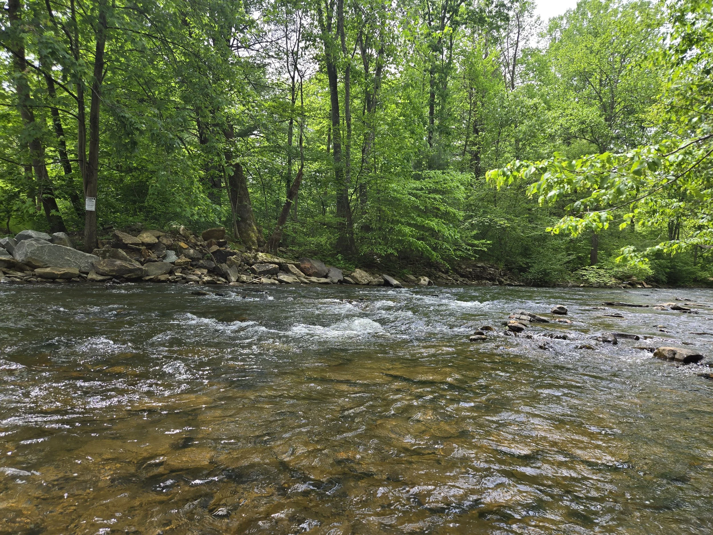 A tranquil river flowing through a lush green forest with rocks along the bank and leafy trees overhead.