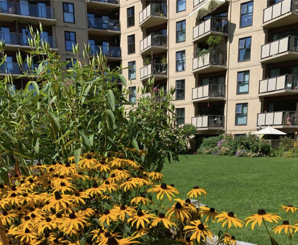 Comparing Net Zero Retrofit and New Construction Pathways in False Creek South&nbsp;