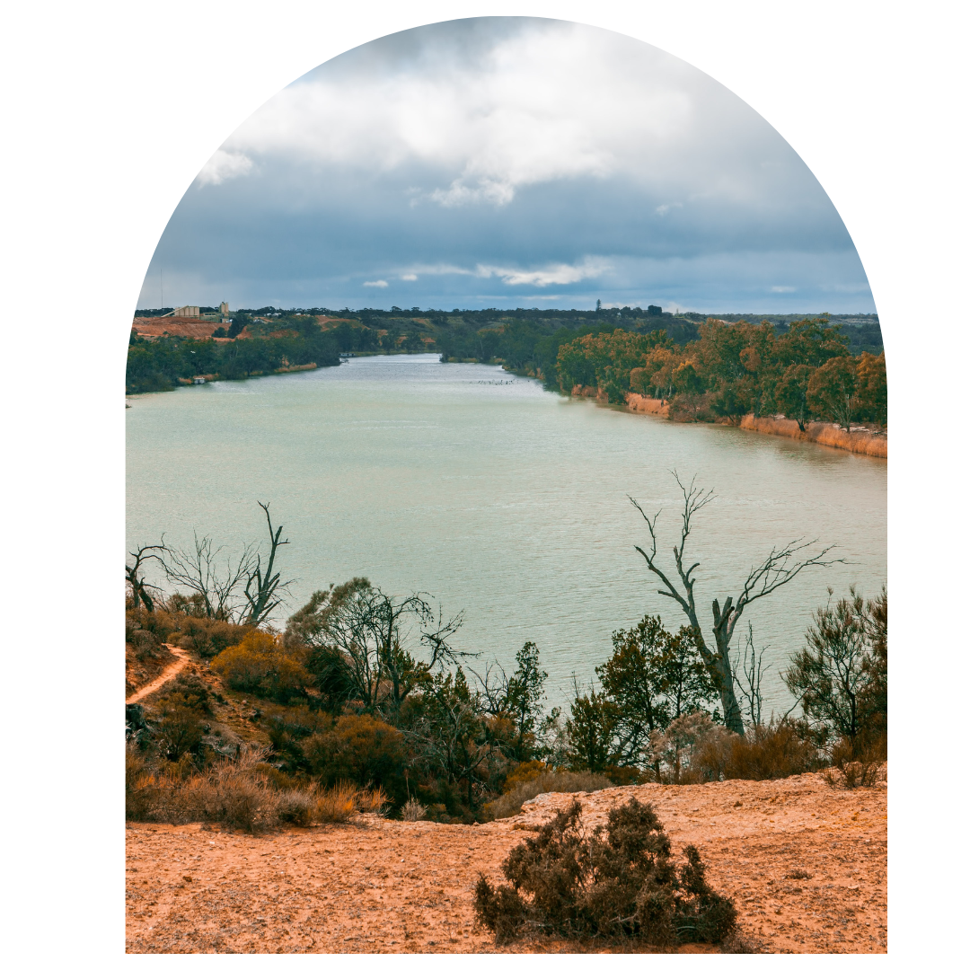 Scenic view of the River Murray winding through the Riverland region in South Australia, with dramatic red cliffs, bushland, and moody skies overhead