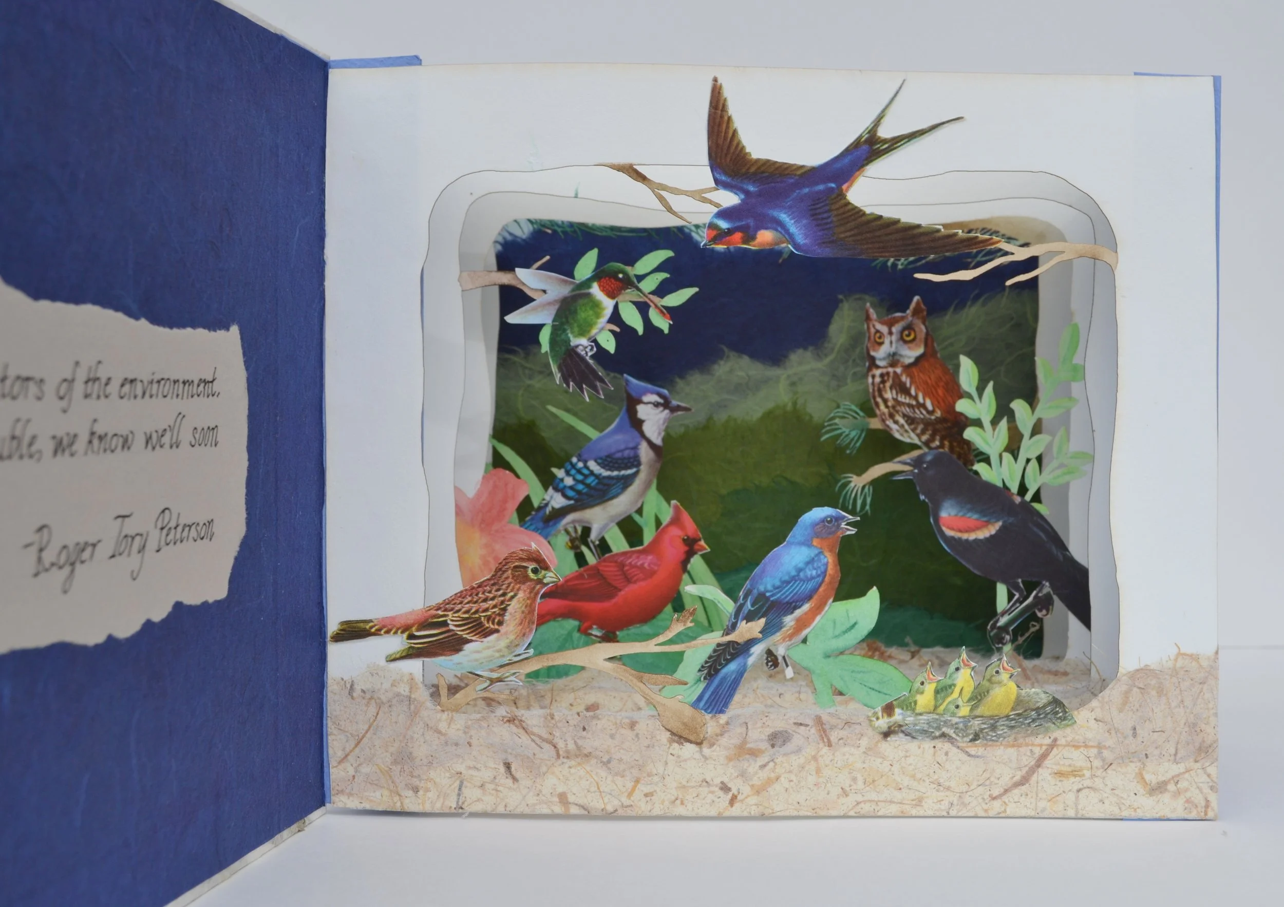 For The Birds 2016 .JPG