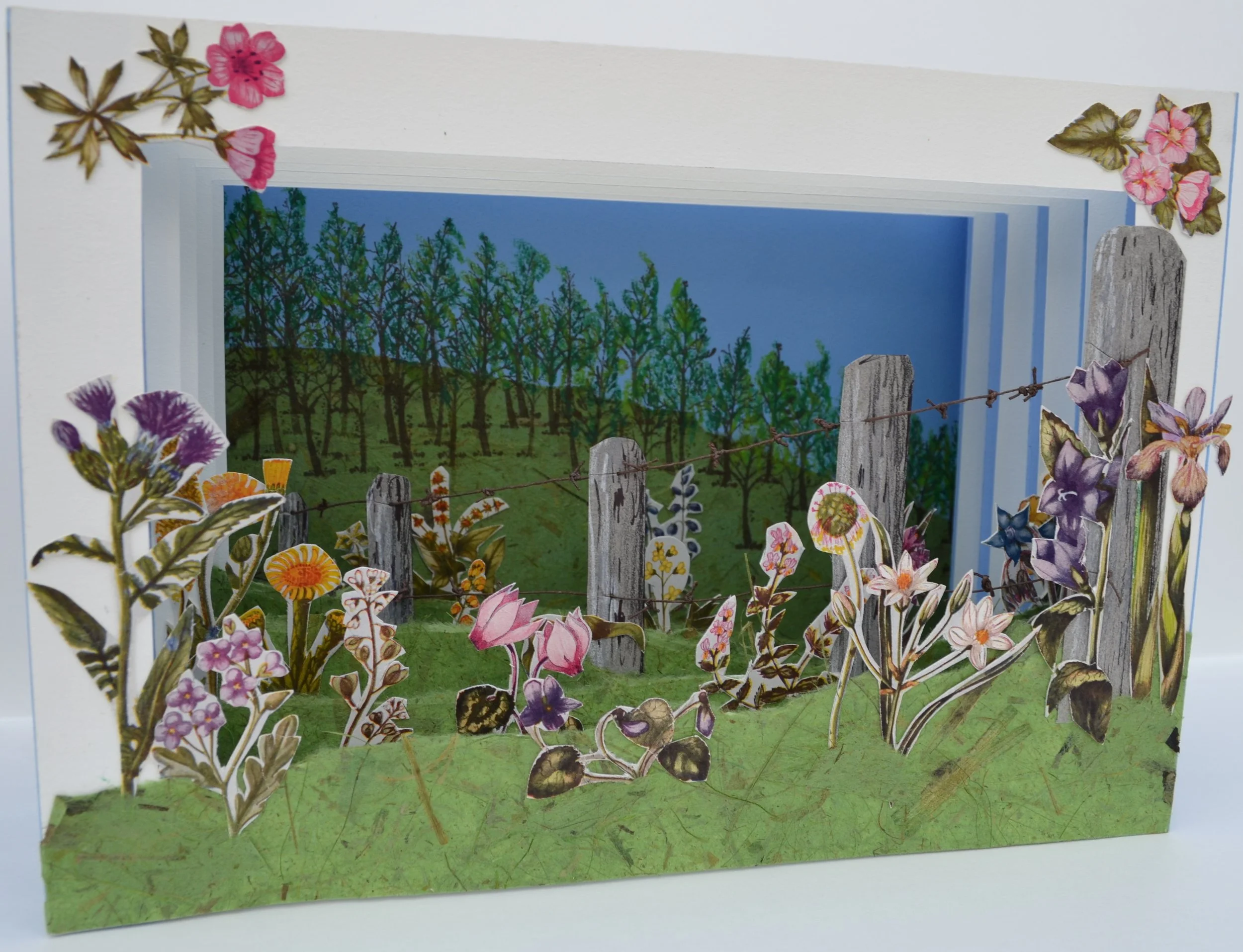 Reynolds Wildflowers .JPG