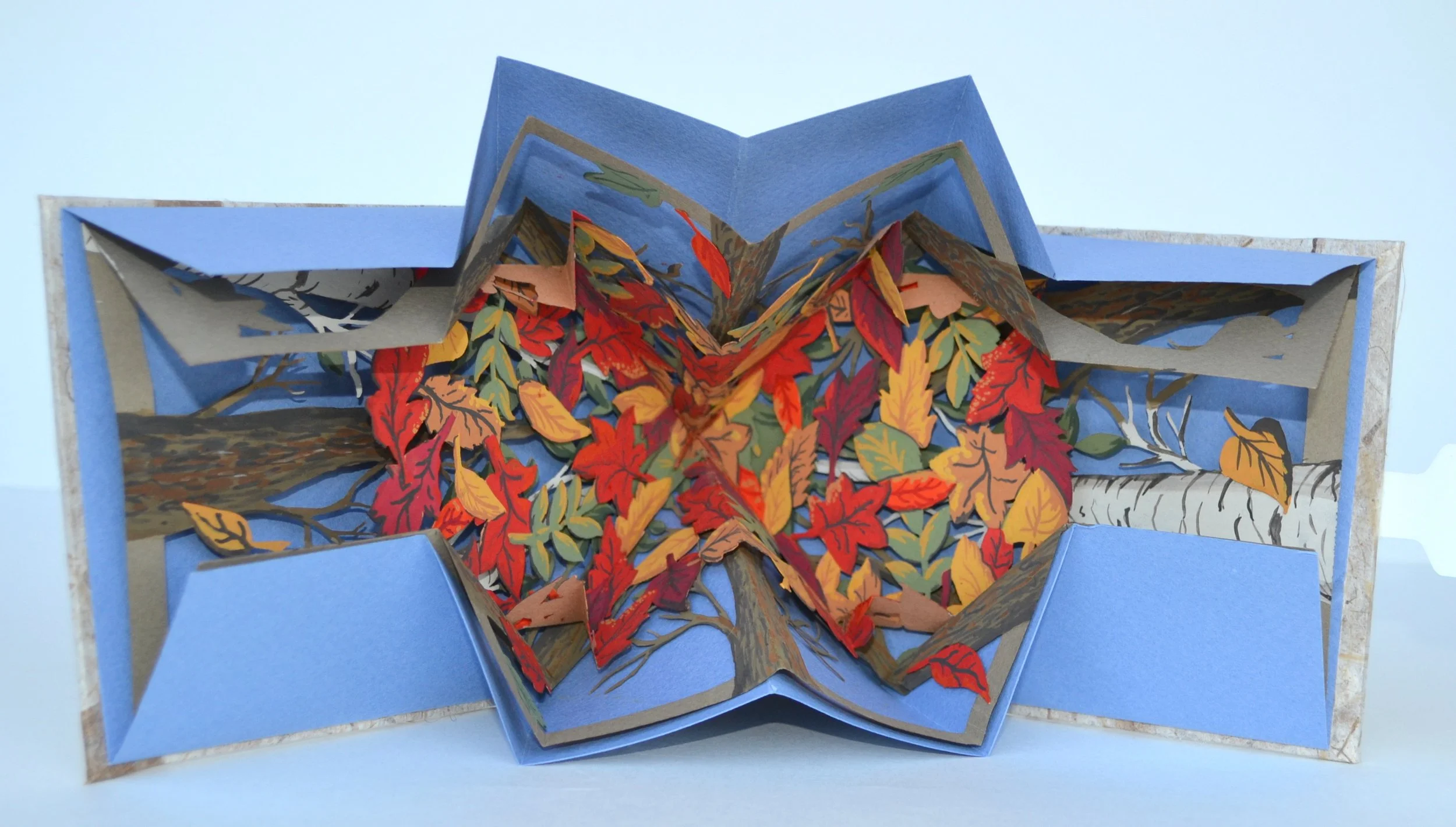 Fall Risk -Art of the Book.JPG