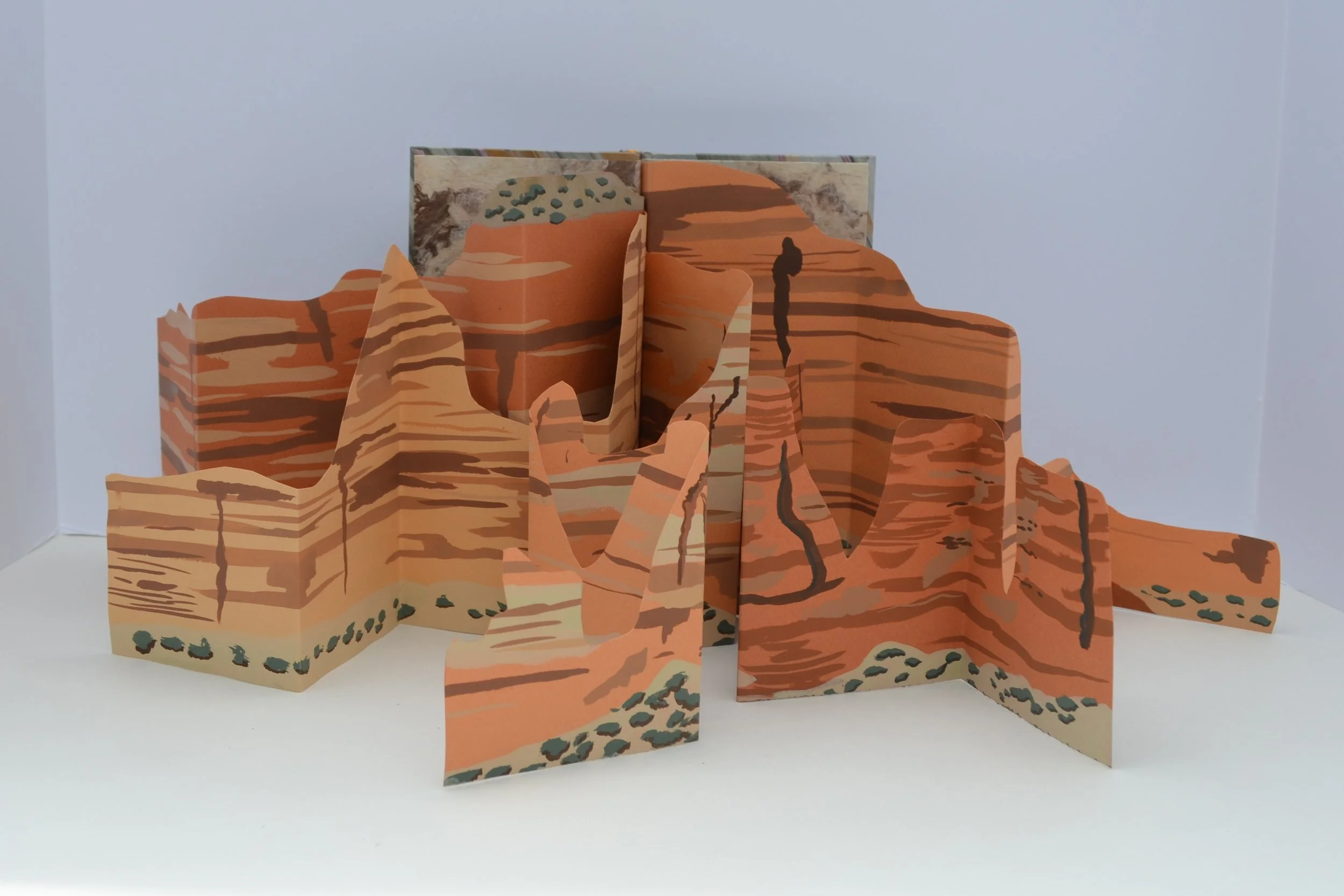 This multi-page accordion book is inspired by Colorado National Monument. I was drawn to the layers, colors and striations that were visible in the rock formations.  I created the shapes of the accordion pages based on the outline of the topography. 