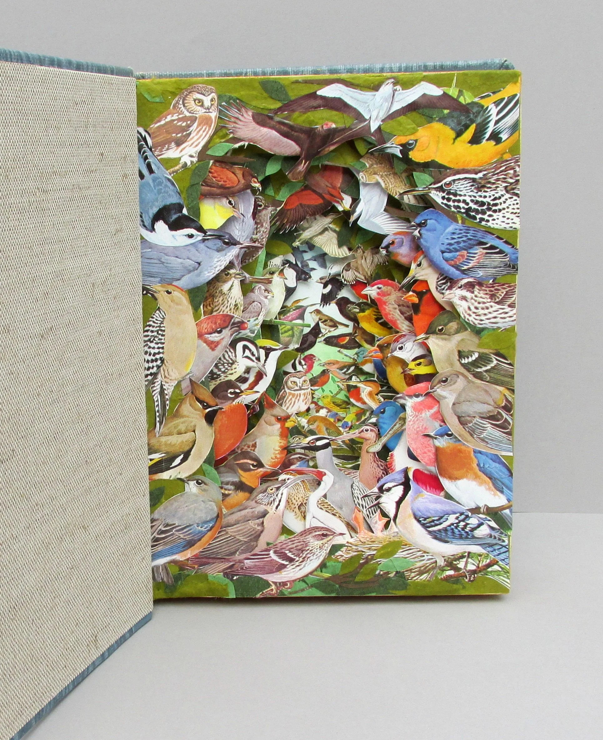 Frenzy of Feathers.JPG