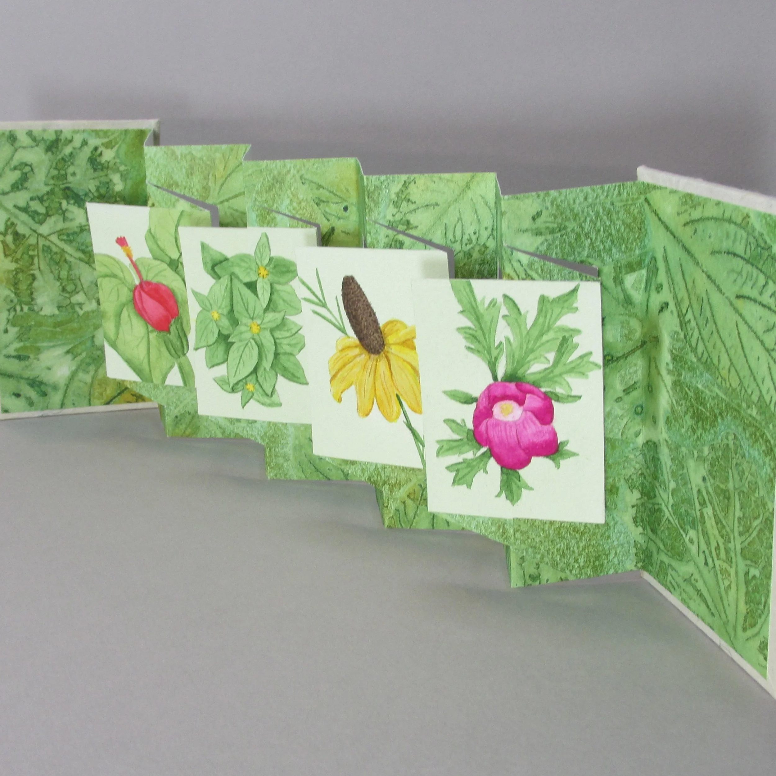Panorama Book with native plants