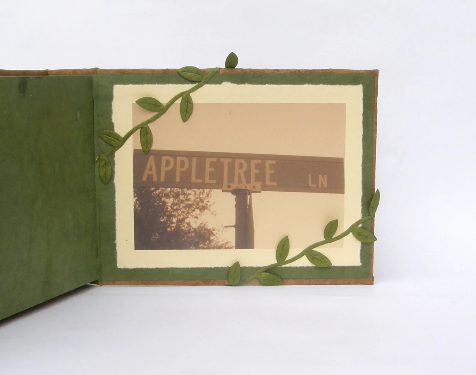 Reynolds_Janet_1detail back.JPG