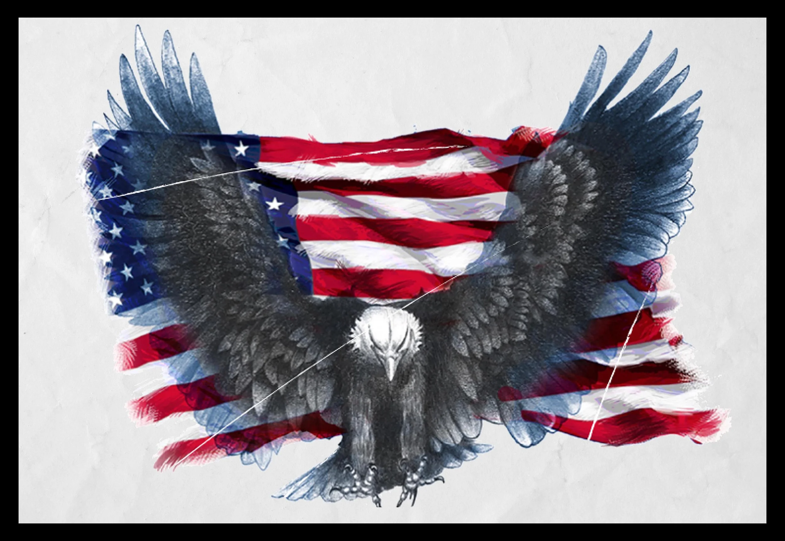 EAGLE:FLAG ART copy.jpg