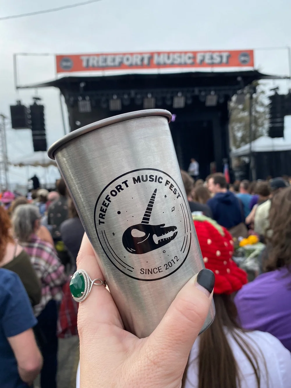 Hello Meridian Blog Treefort.JPG