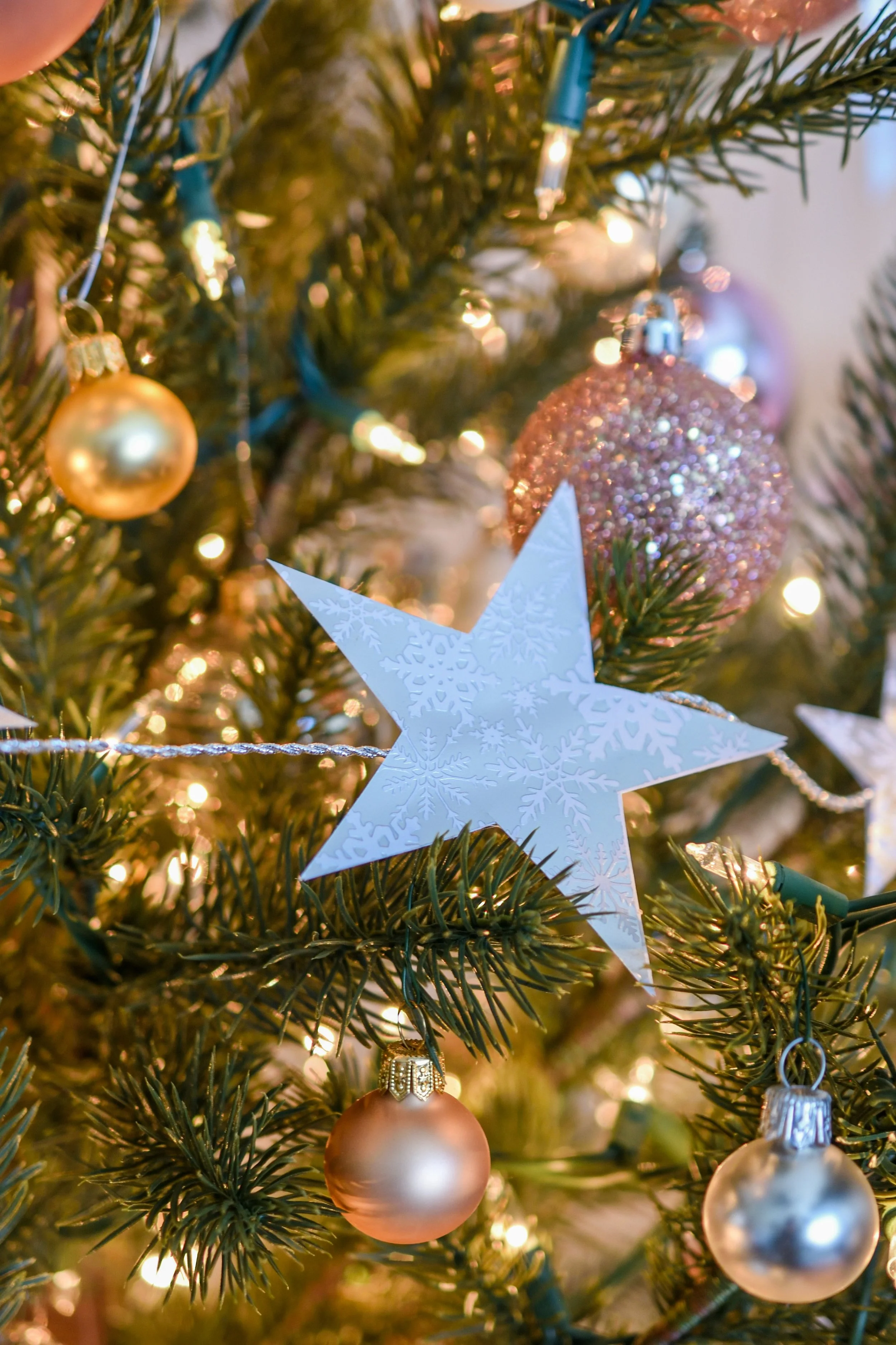 Canyon County Festival of Trees