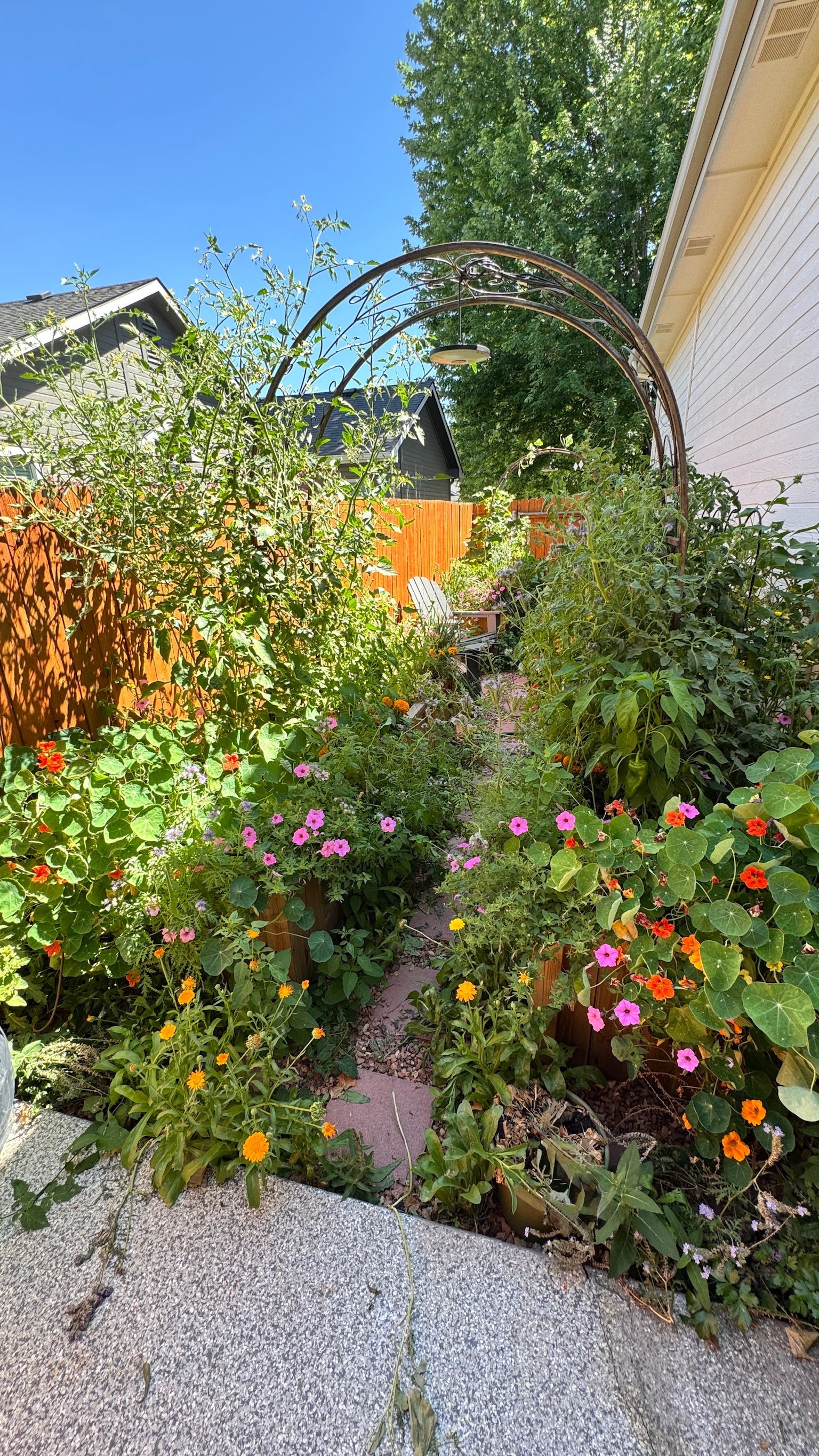 garden 3.JPG