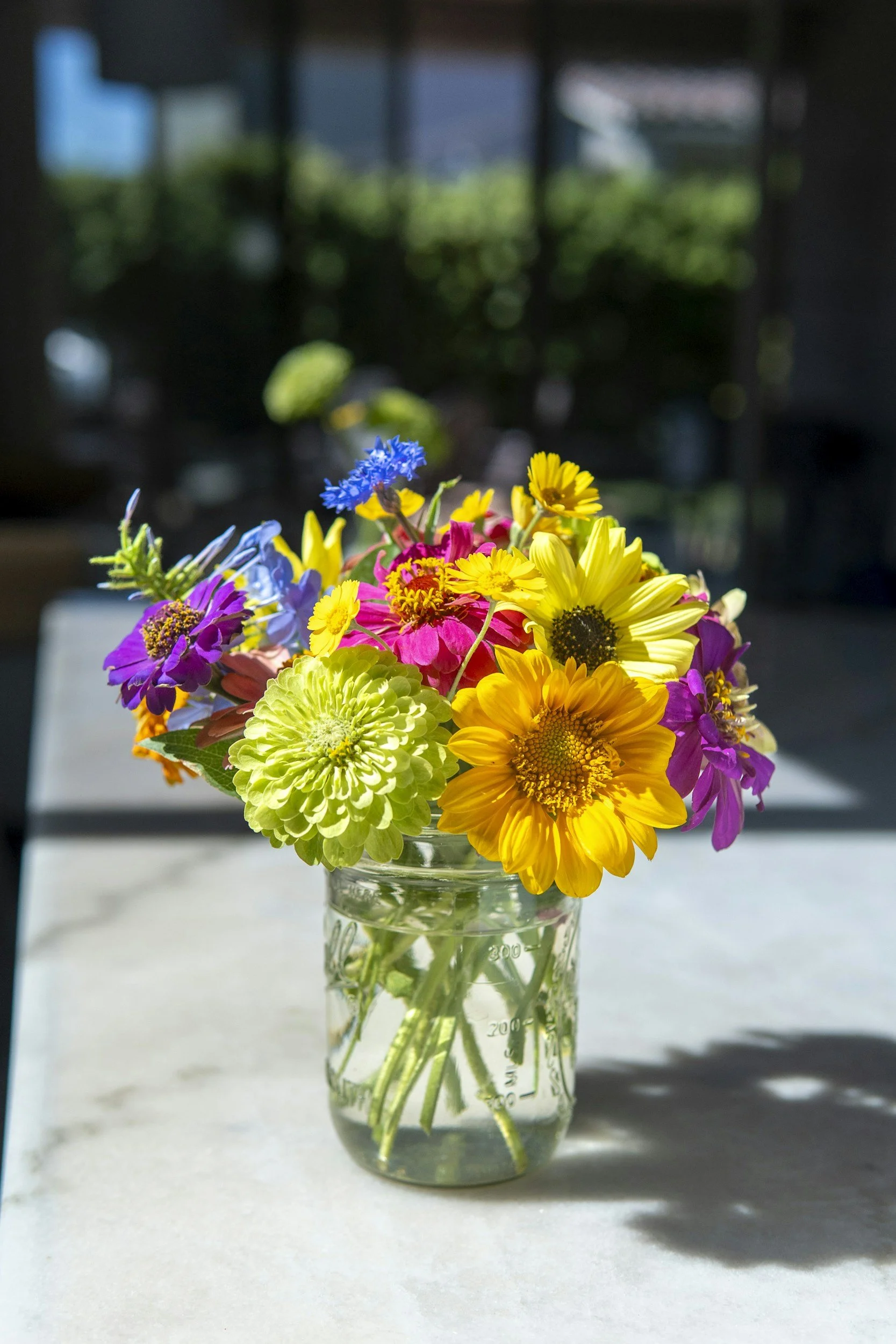 What to Plant in Your Treasure Valley Garden