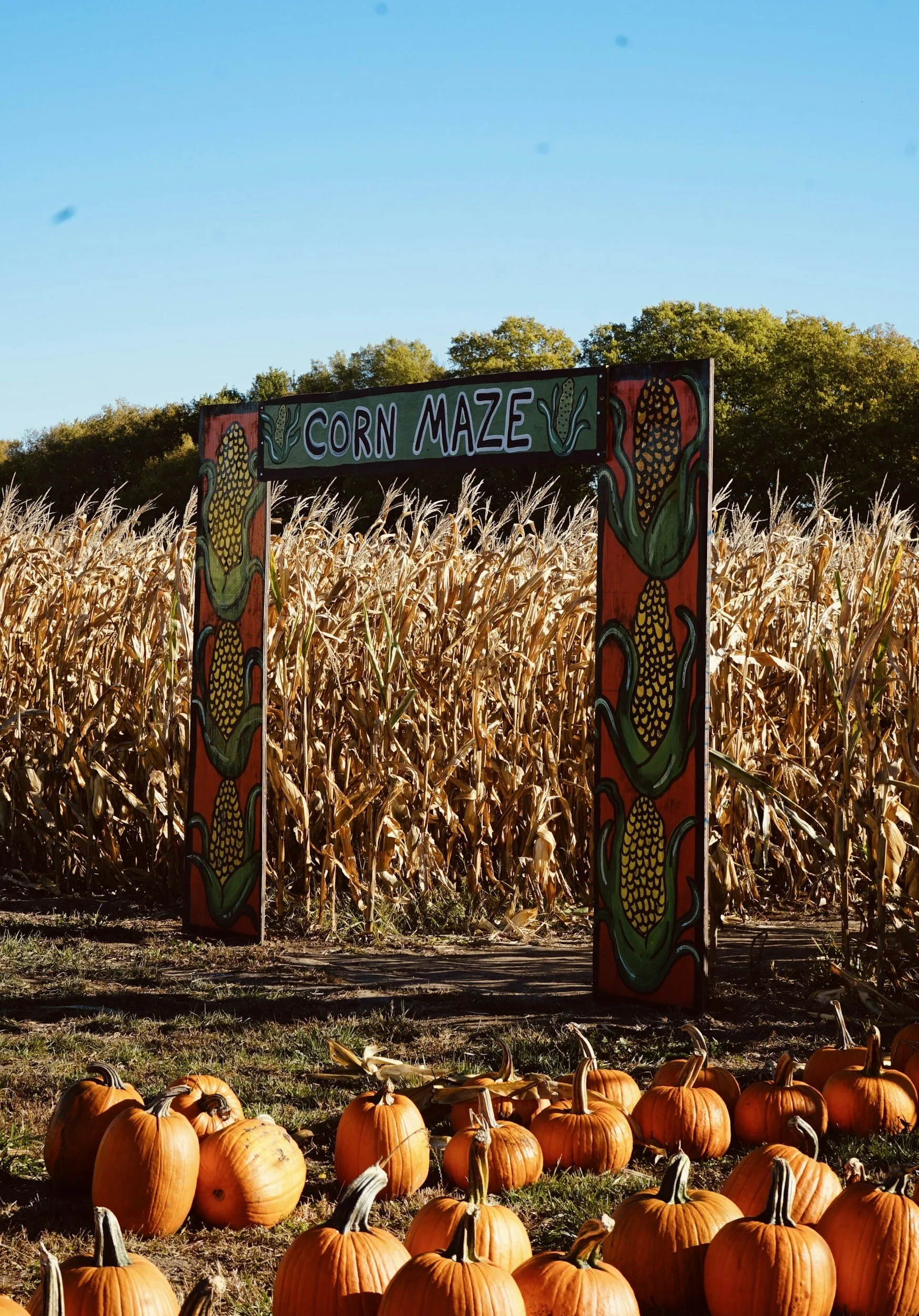 Grand Opening of Ten Mile Farms!