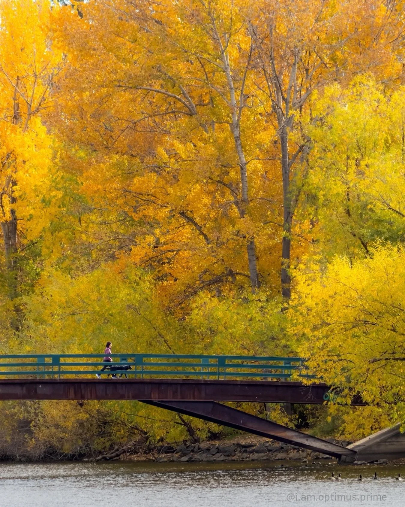 Can we all agree that this has been the most beautiful Autumn Idaho has had in recent memory. My word. My 2025 needed this. Today is utter perfection. 

Stunning photo by @i.am.optimus.prime #idaho #boise