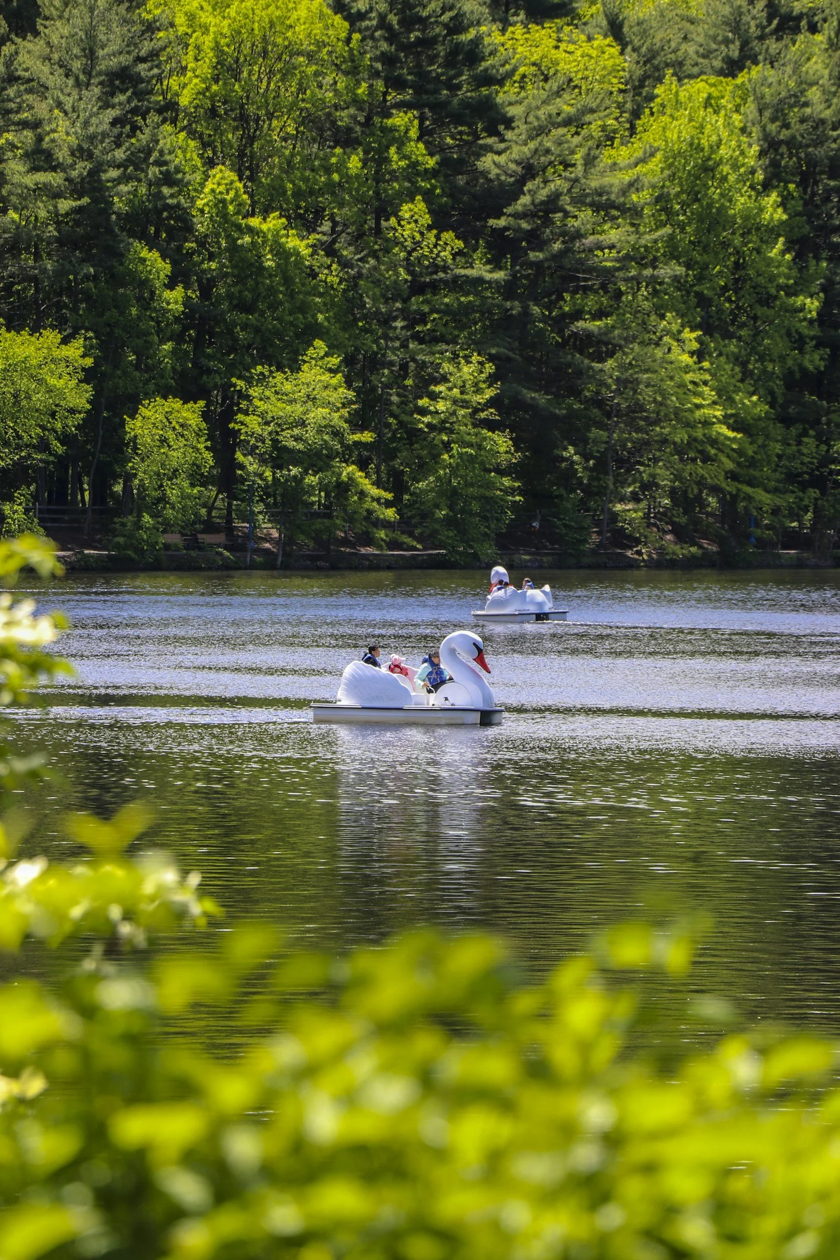 Discovery Center Paddle Boats Grand Opening
