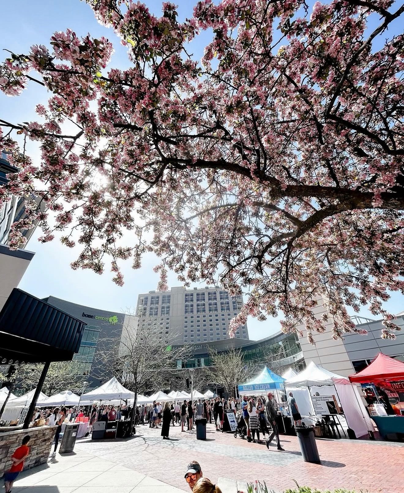 It&rsquo;s the opening day of @capitalcitypublicmarket! Back at Grove Plaza in @downtownboise! If you are looking for local artisans, craftsmen and more- make sure to stop by Saturdays 9:30am to 1:30pm. Swipe for all the details and who you&rsquo;ll 