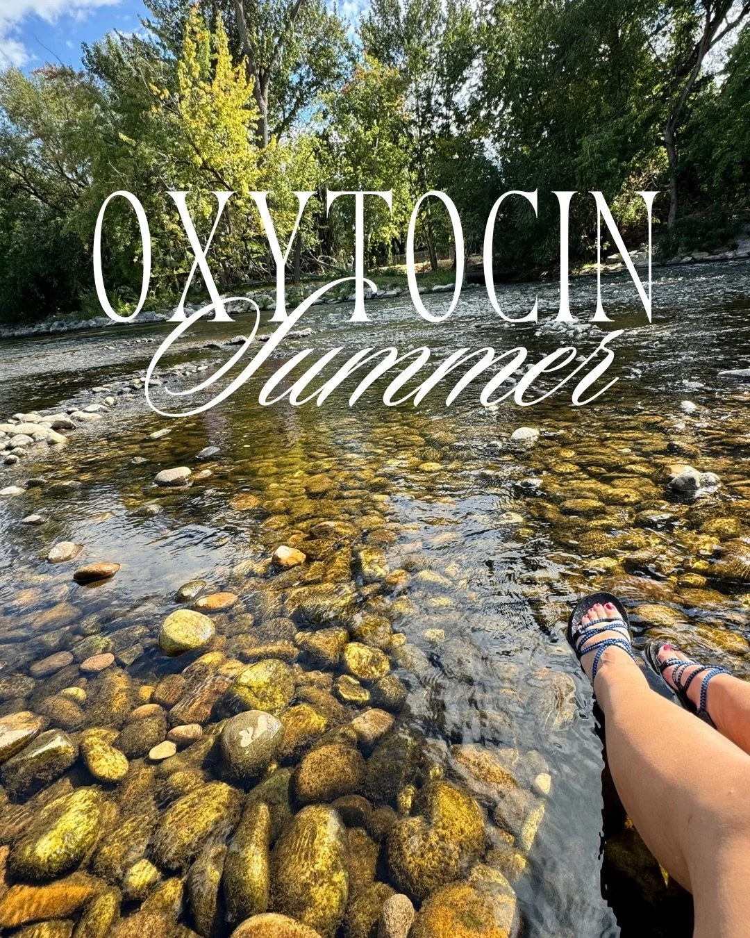 The summer scaries have hit, and I&rsquo;m wanting to do things a little differently. 

I&rsquo;ve made a plan for a more regulated nervous system this summer. Some of you know it&rsquo;s been a year of slowing down. Breaking out of the machine. And 