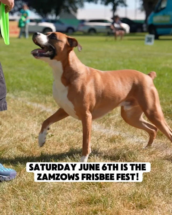 🐾 @zamzows_superstore Frisbee Fest is back this Saturday&hellip; but keep reading because that&rsquo;s just the beginning. 🐾

Join Zamzows on Saturday, June 6th at 10 AM at Ann Morrison Park for a morning of frisbees, fresh air, and fun with your d