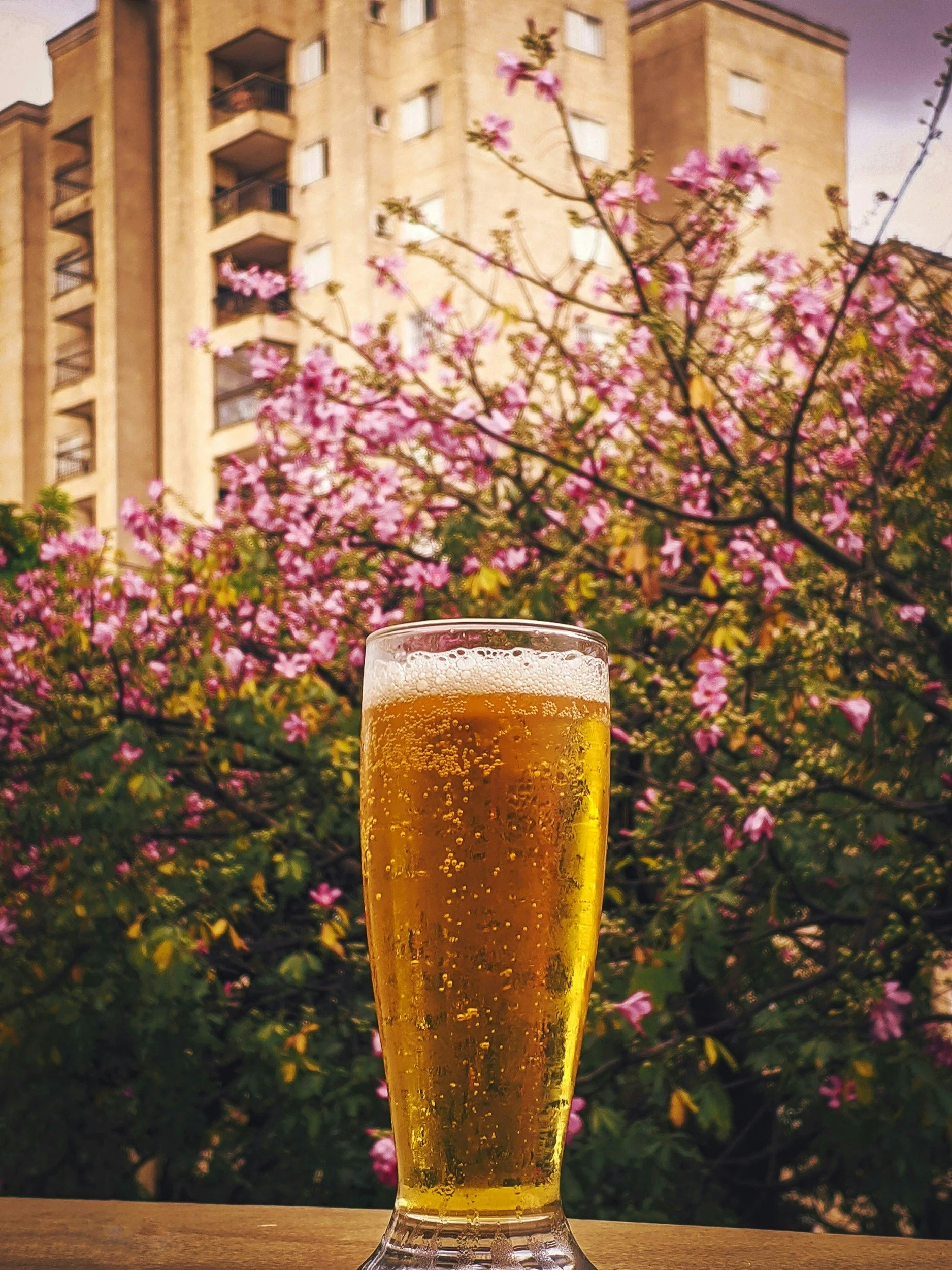 Beers &amp; Blooms Night 2 | Flower Workshop at Loose Screw Brew Co.