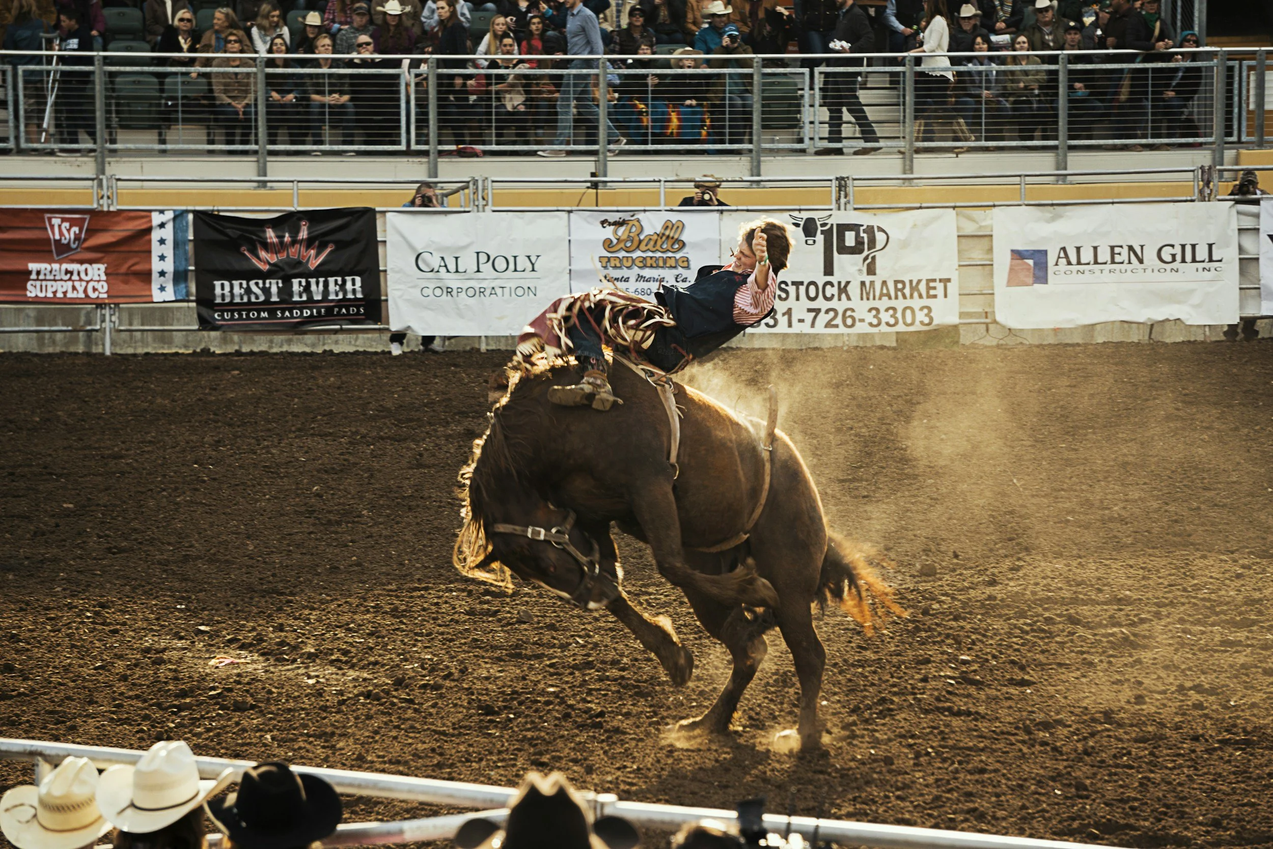 Kuna Stampede